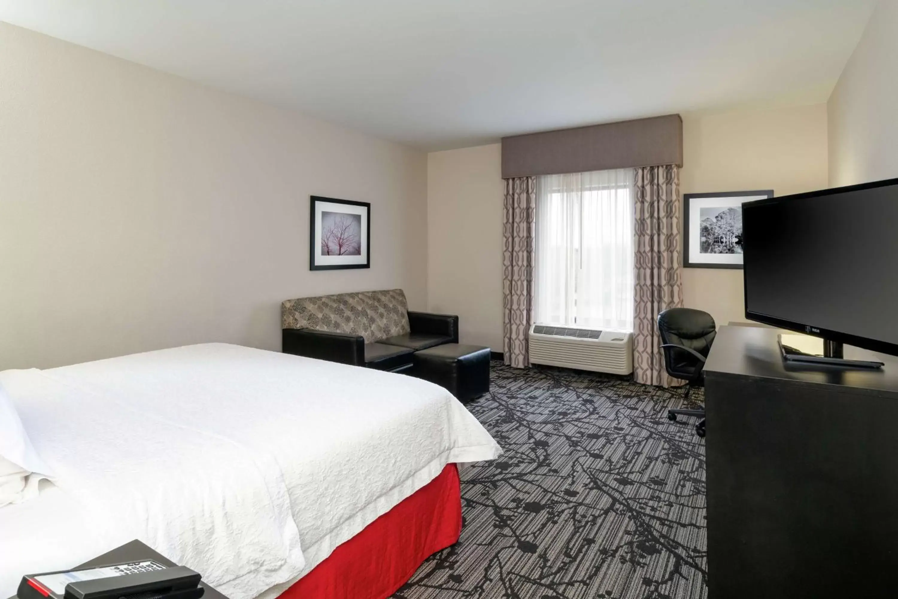 King Room with Sofa Bed - Non-Smoking in Hampton Inn and Suites Roanoke Airport/Valley View Mall King Room with Sofa Bed - Non-Smoking in Hampton Inn and Suites Roanoke Airport/Valley View Mall