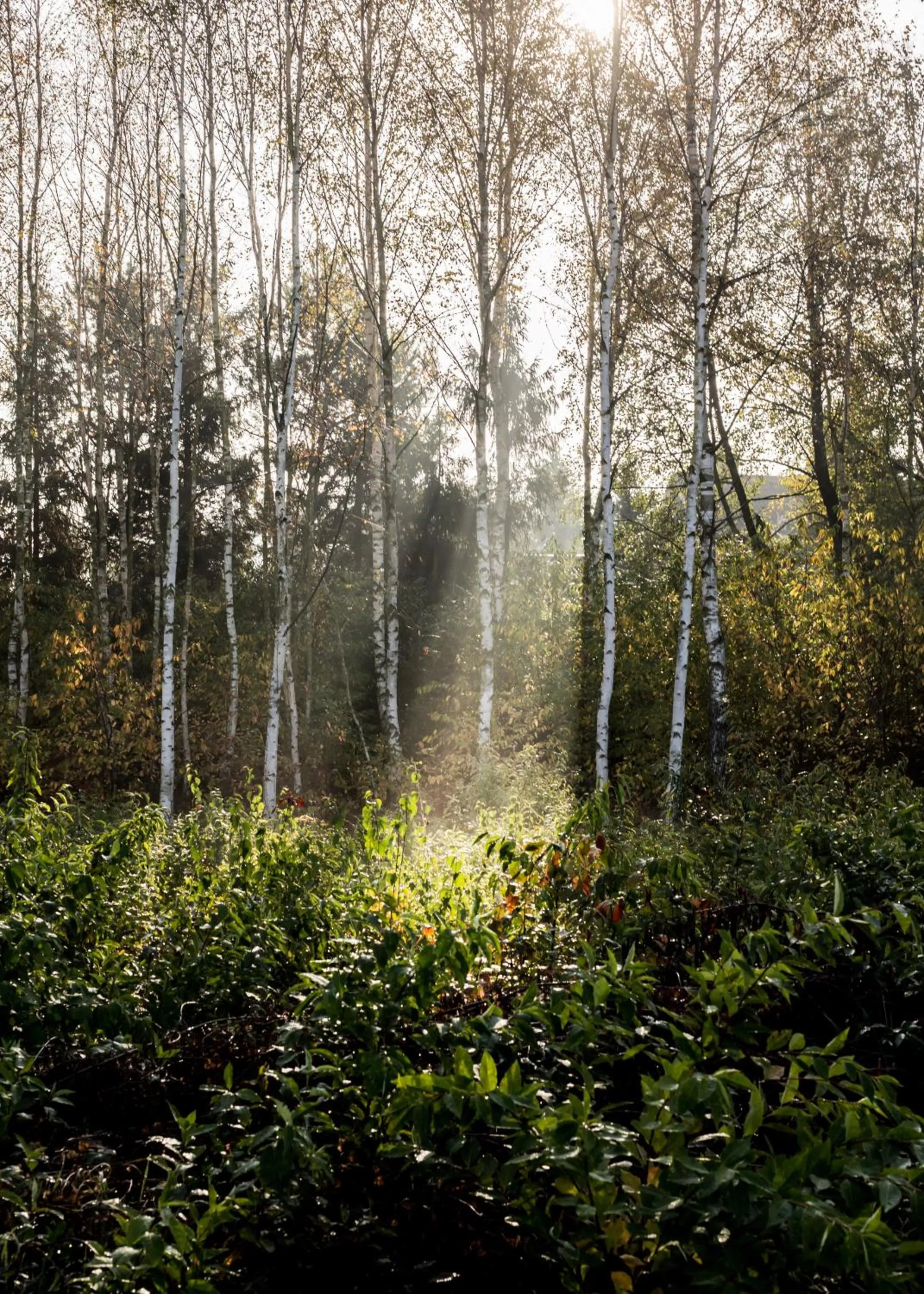 Natural landscape in Rado Resort Spa & Wellness