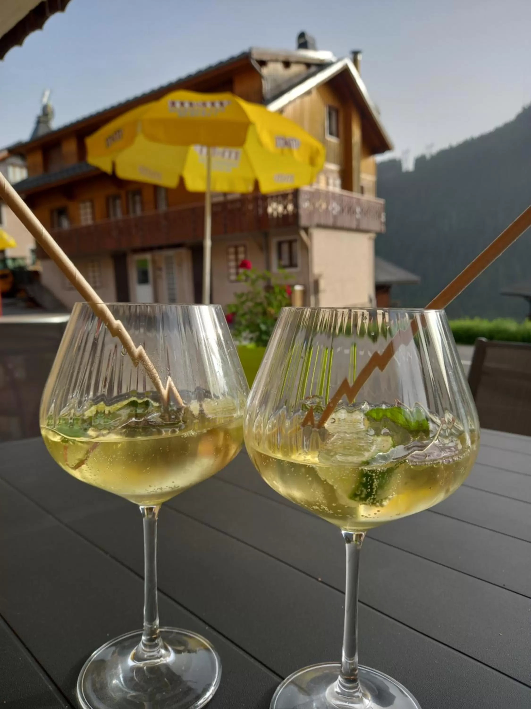 Lounge or bar, Drinks in Hôtel l'Edelweiss