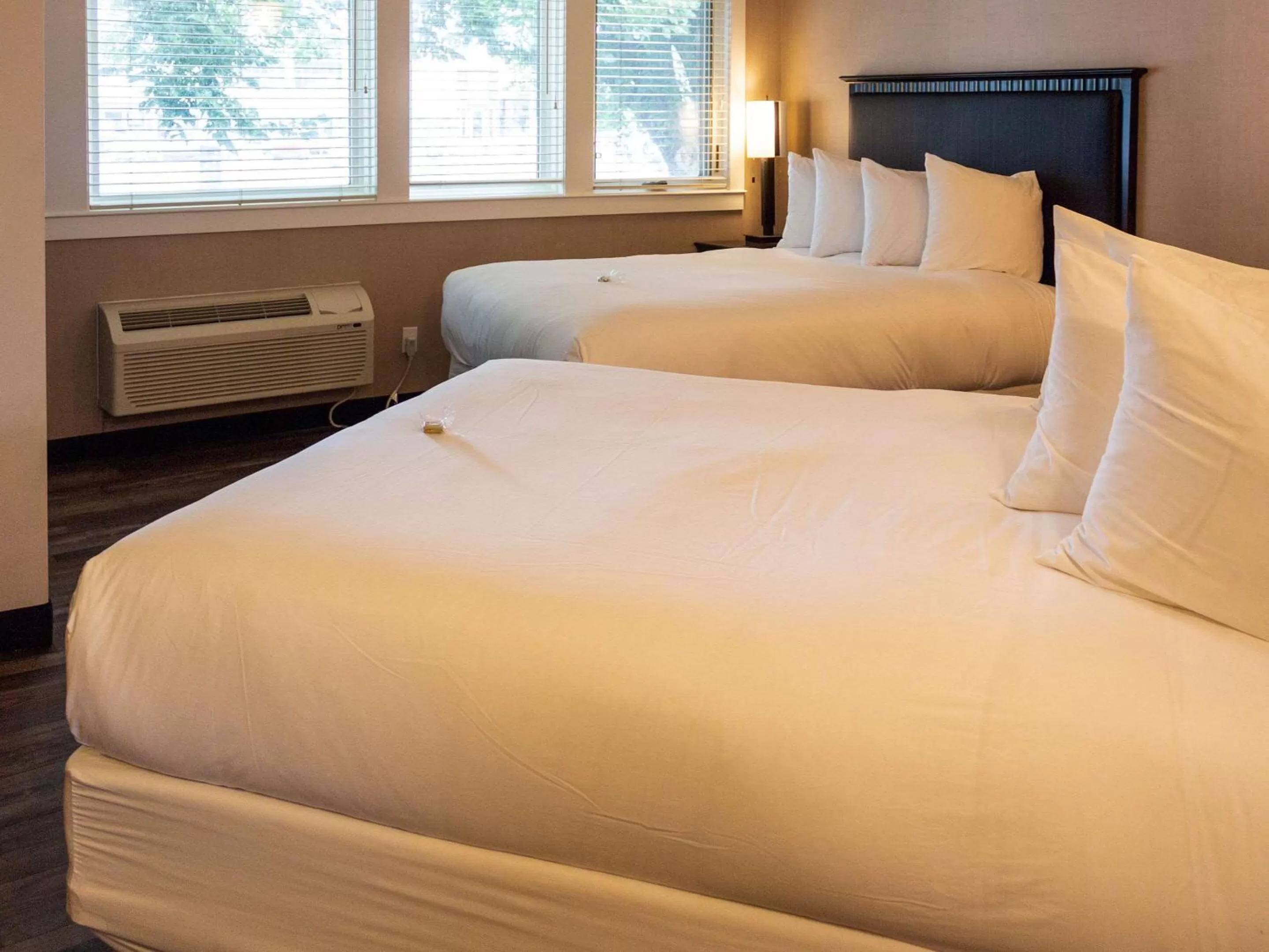 Photo of the whole room, Bed in Hotel Penticton, Ascend Hotel Collection