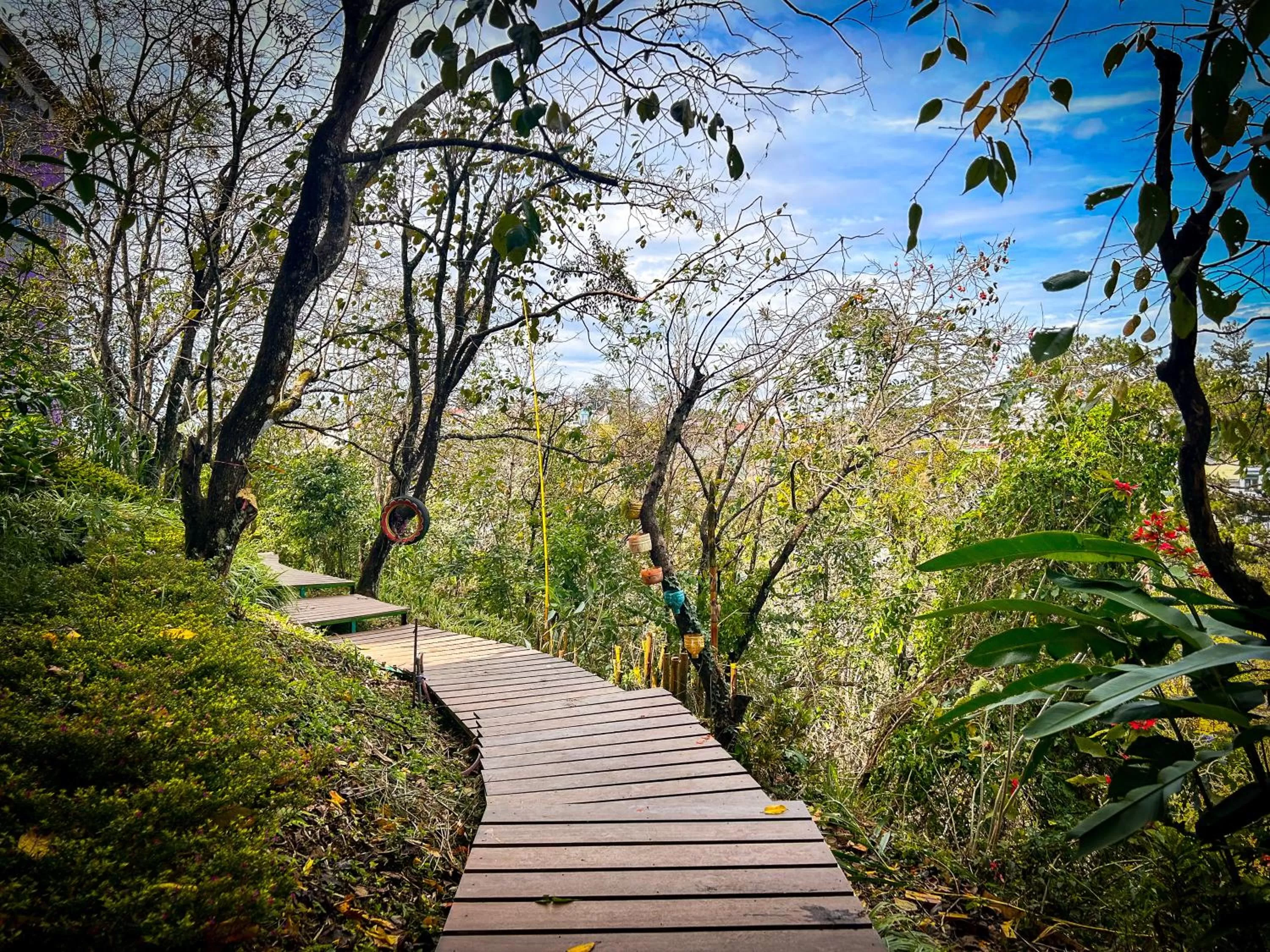 Garden in Hong Mon Villa