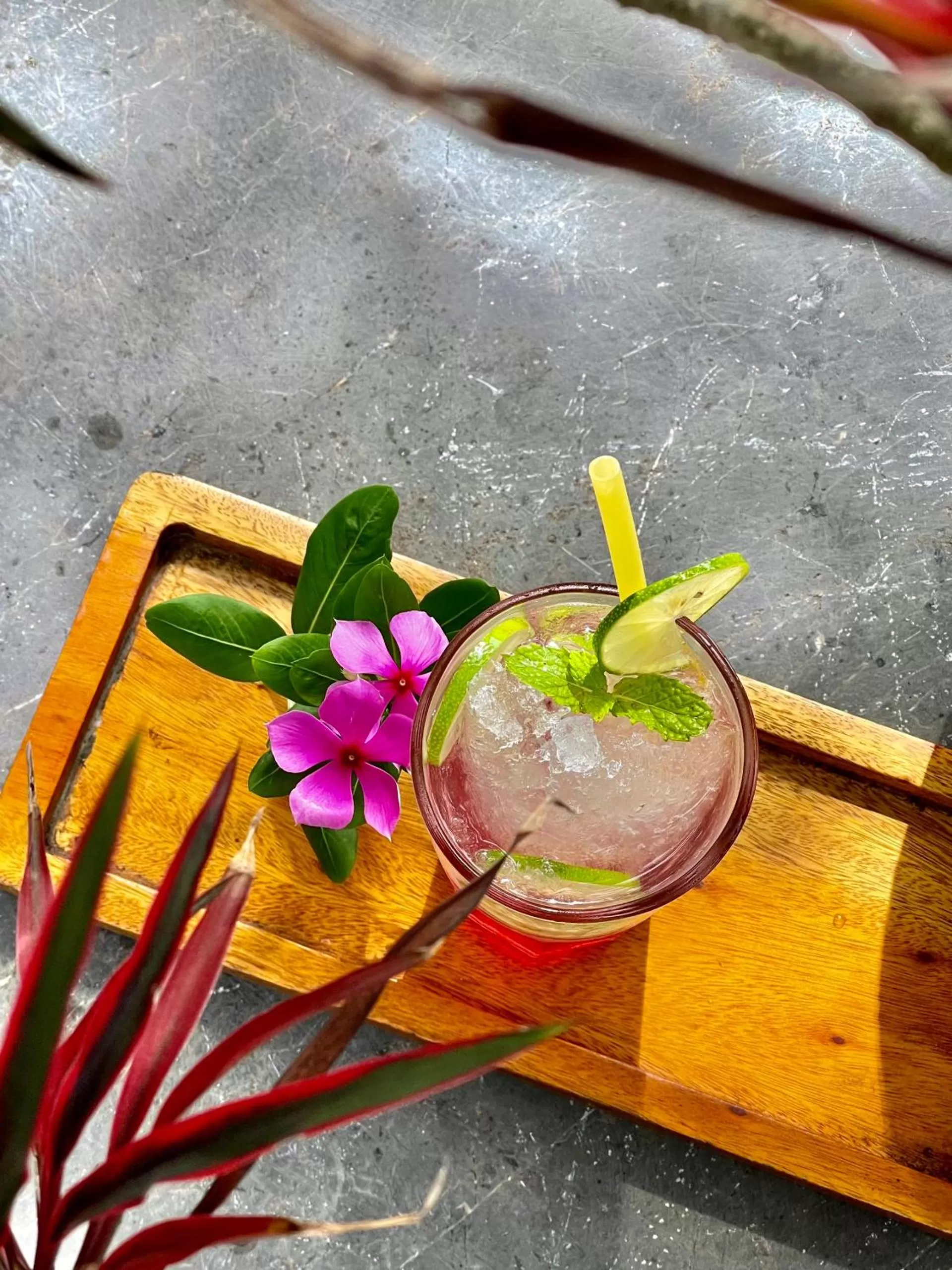 Drinks in Trang An Lamia Bungalow