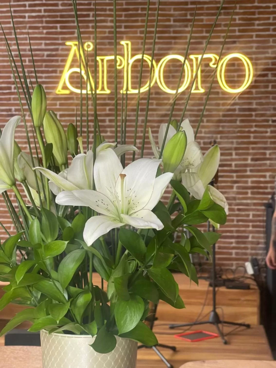 Restaurant/places to eat in Eutopiq Hotel