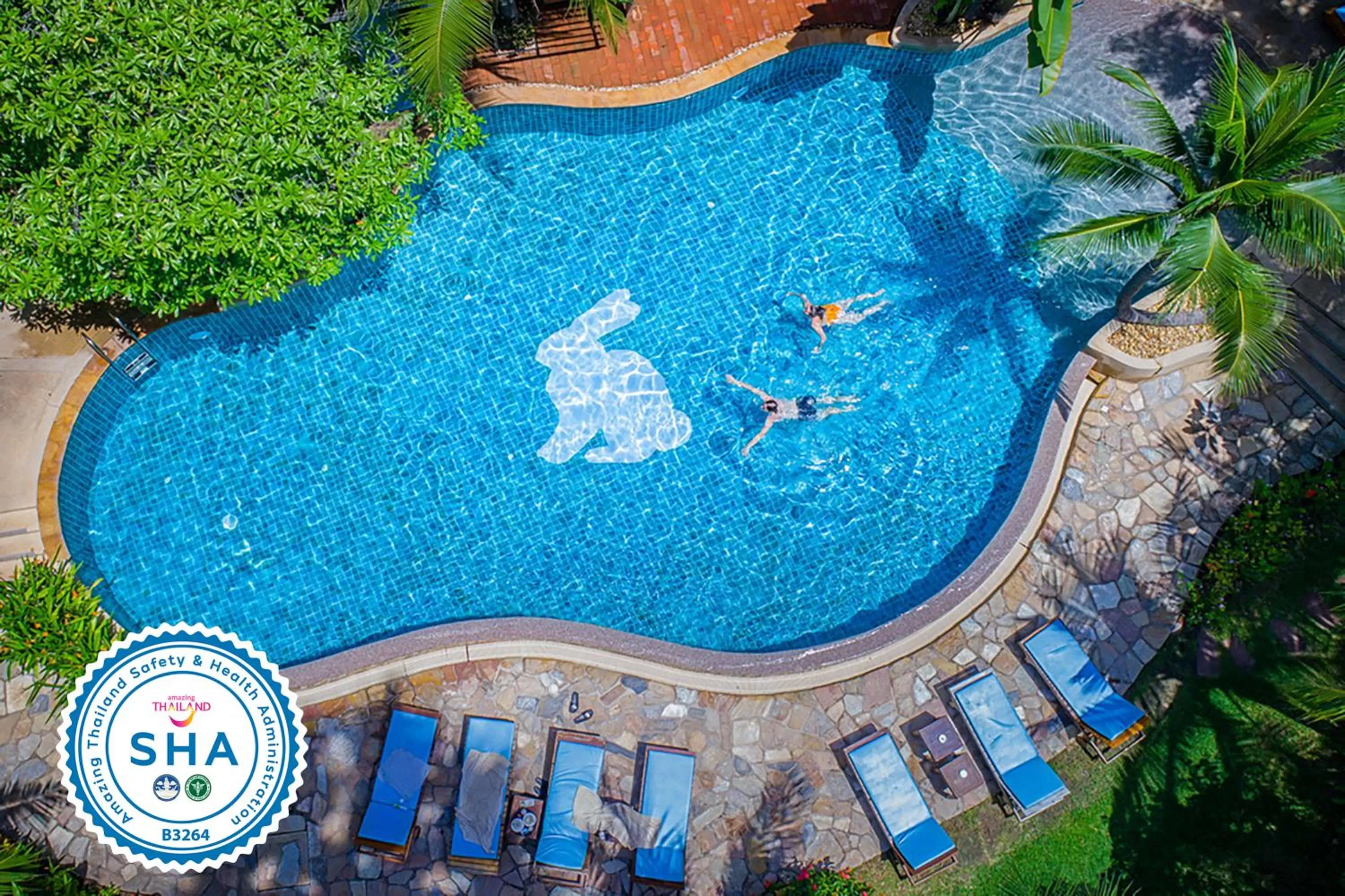 Swimming pool in Rabbit Resort Pattaya