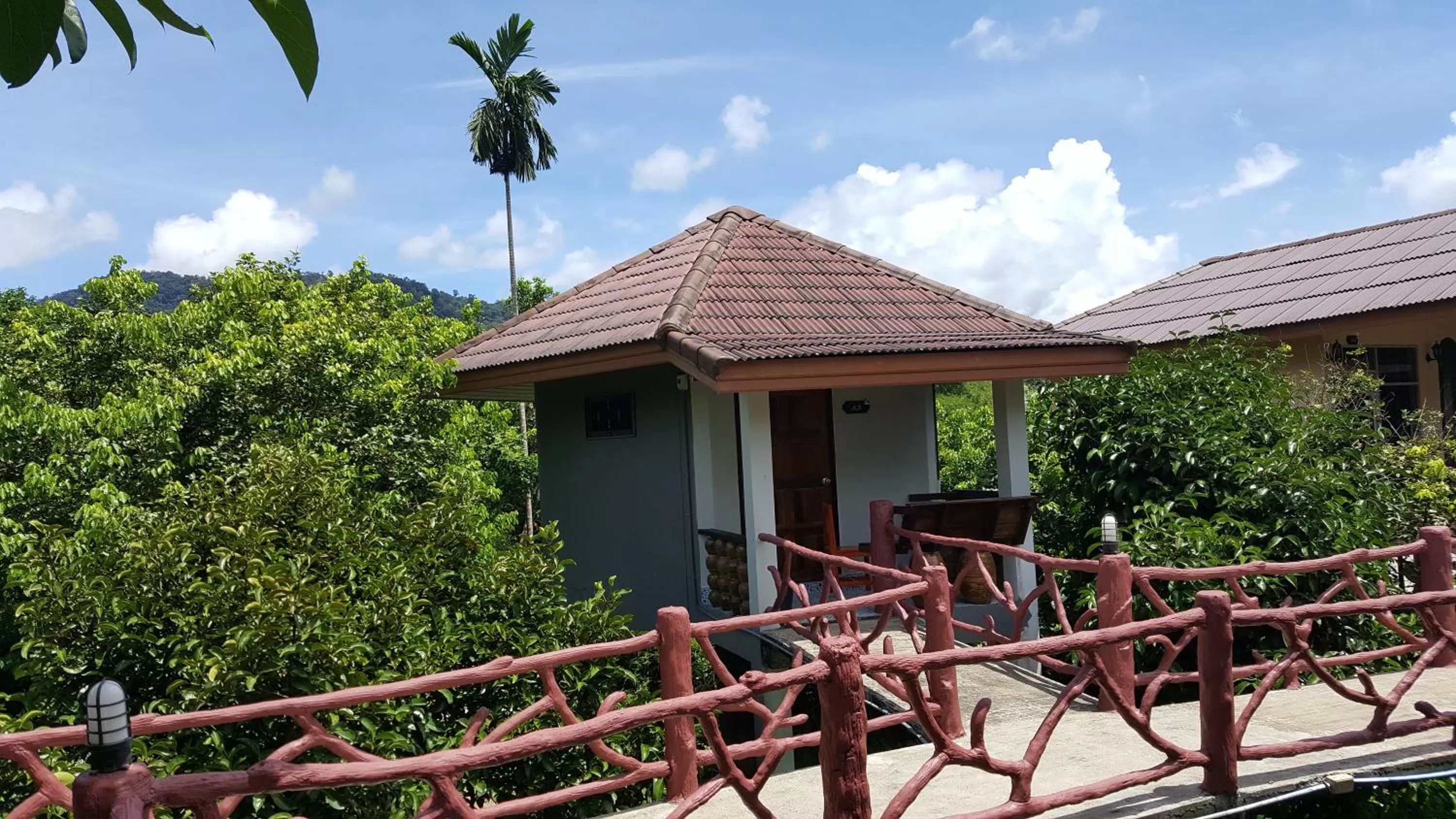 Property building in Khao Sok Jungle Huts Resort