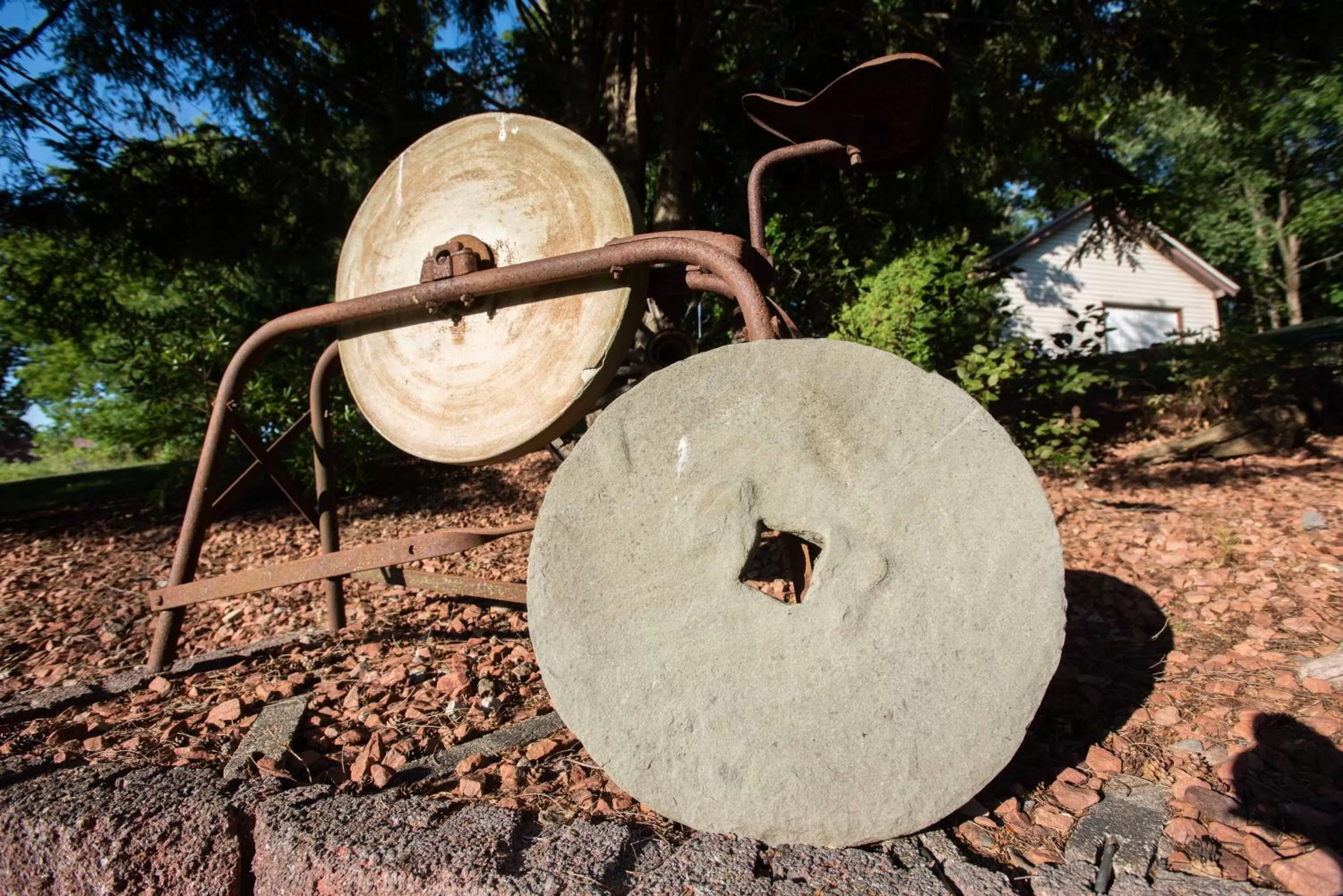 Garden in Blue Spruce Motel