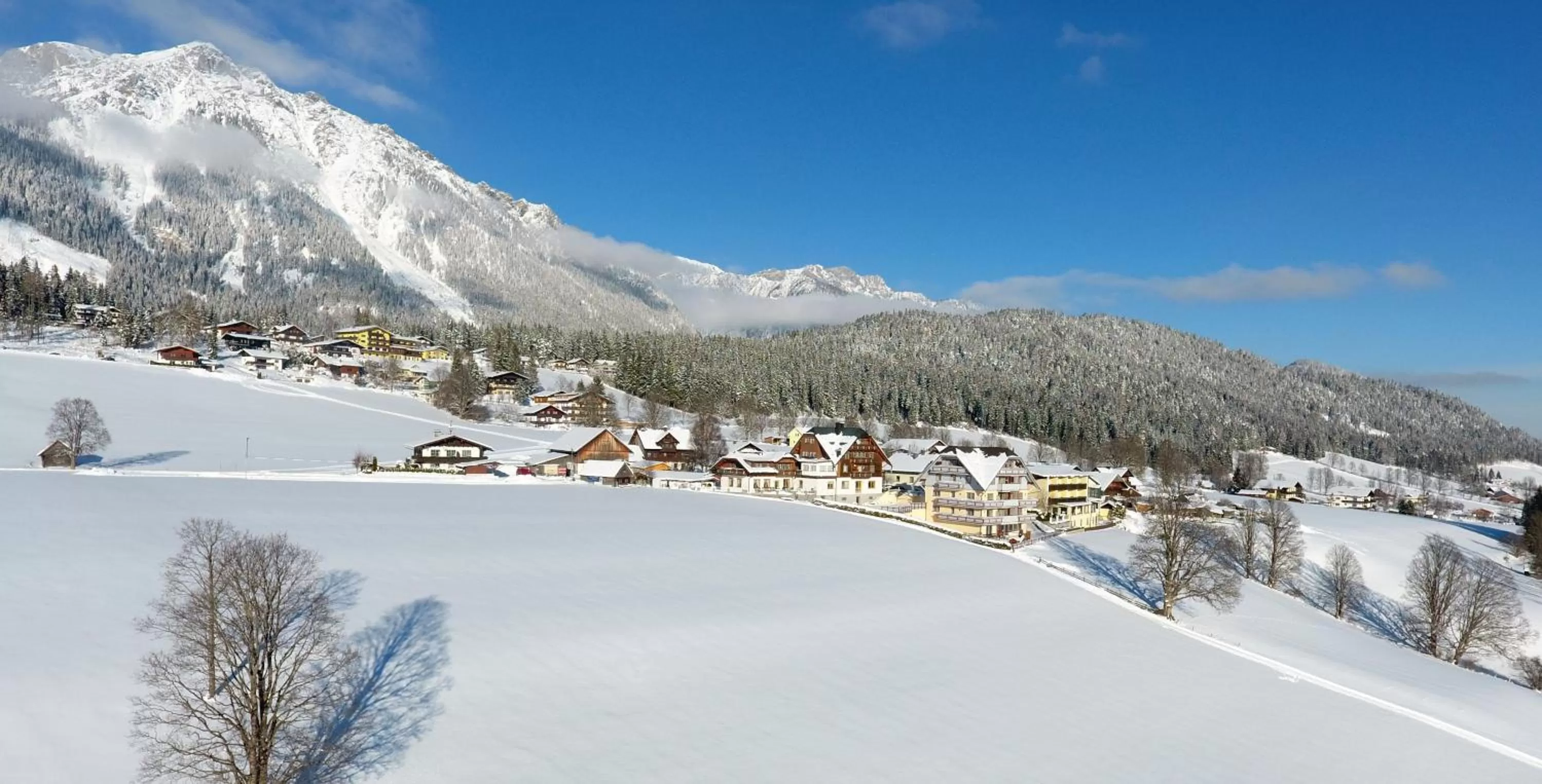 On site in Hotel Neuwirt