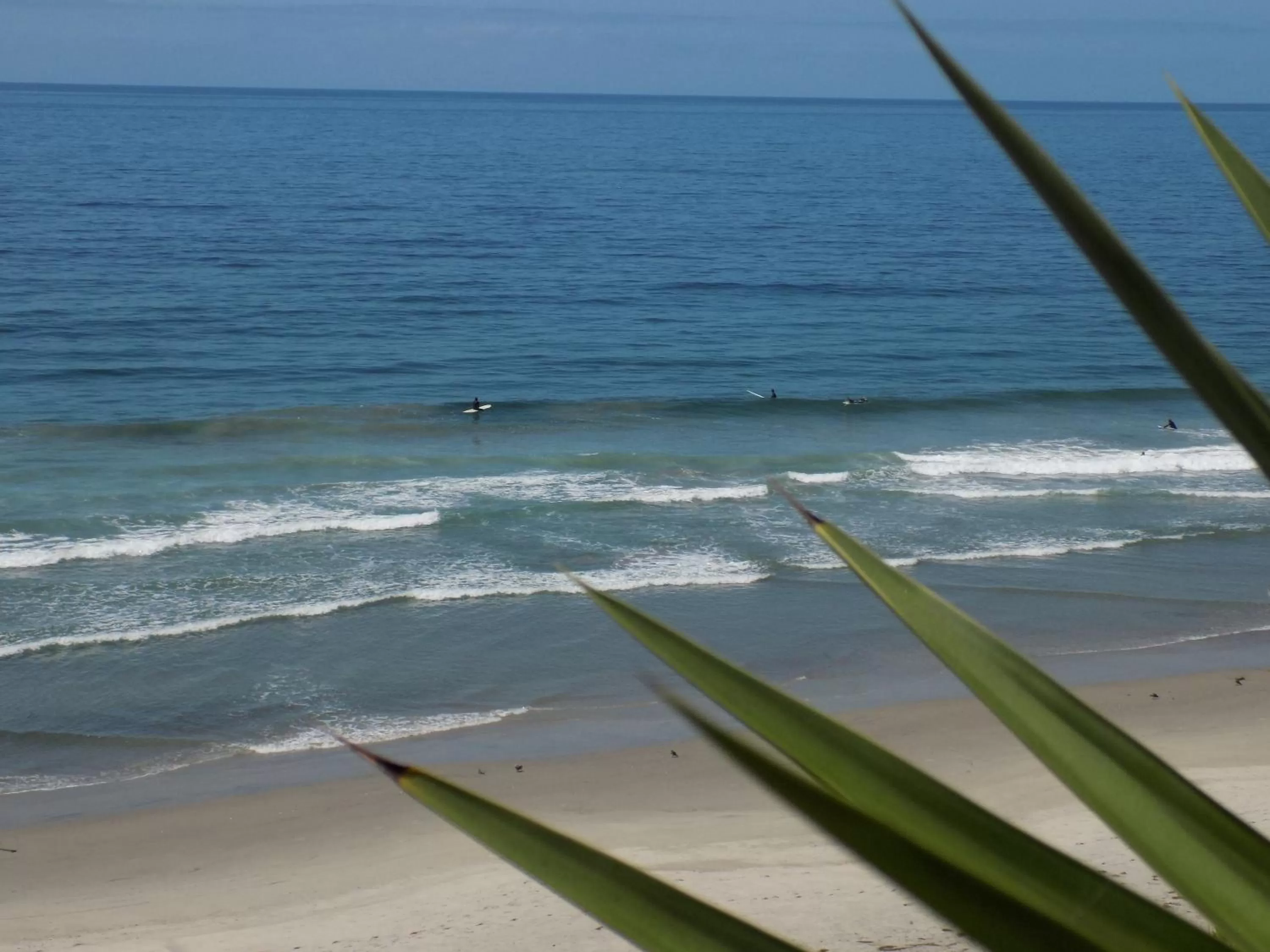 Restaurant/places to eat in Poco Cielo Hotel