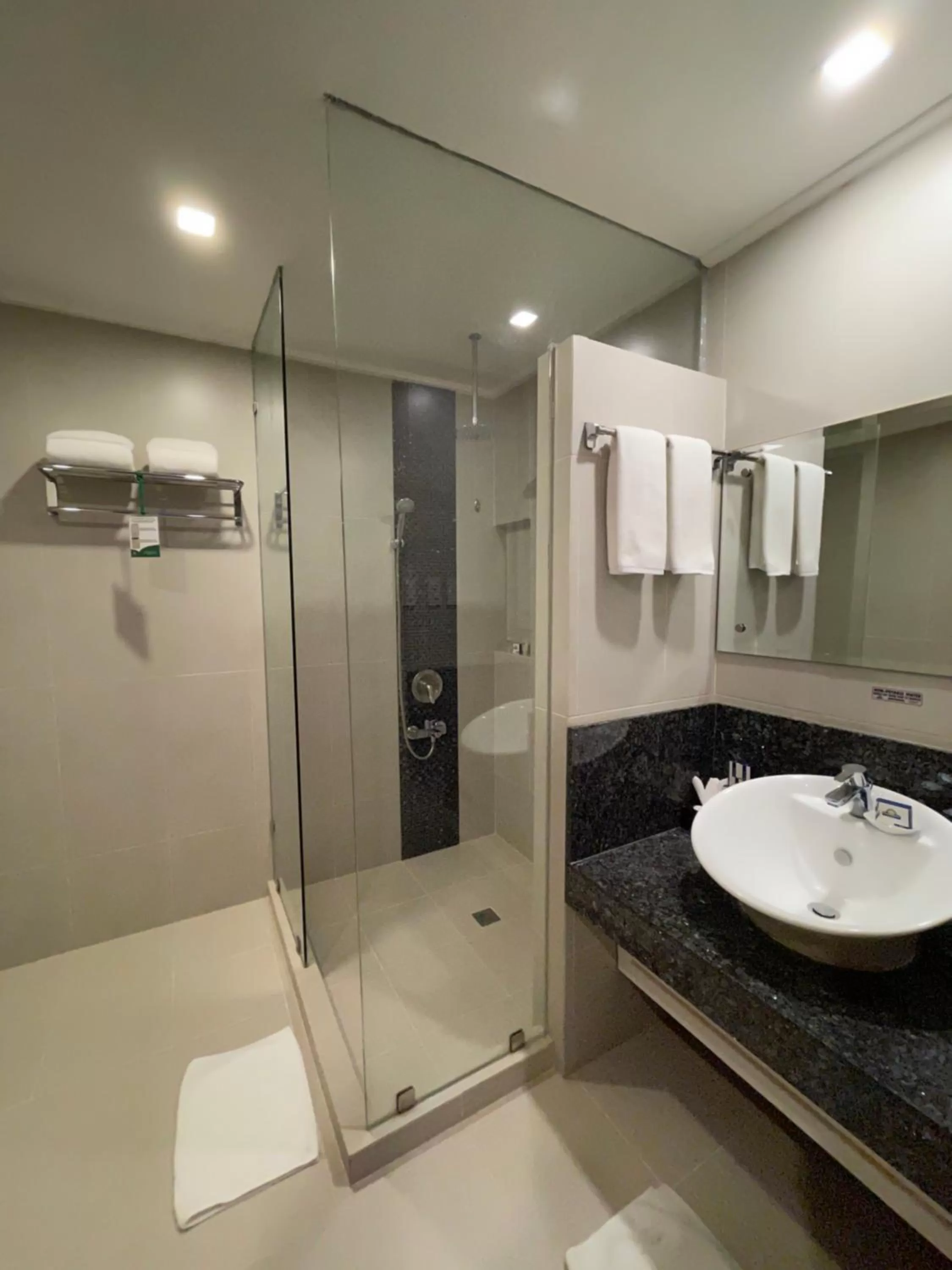 Bathroom in Days Hotel by Wyndham Iloilo