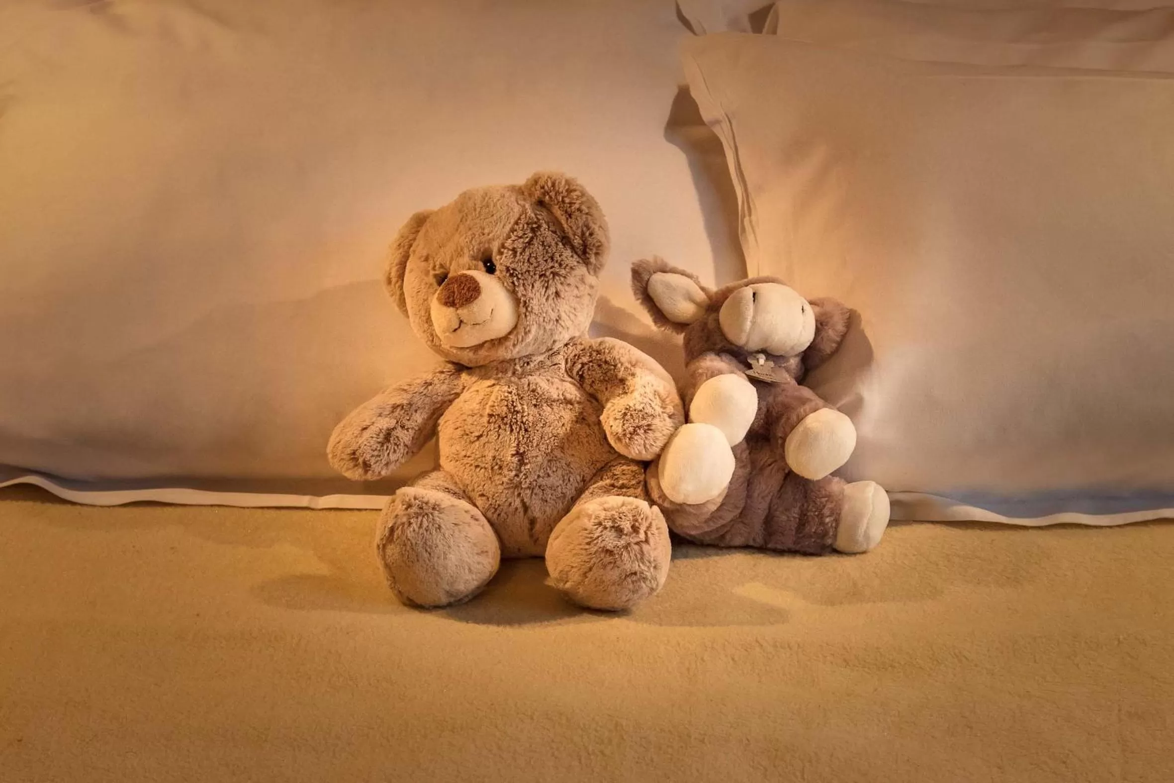 Bed in Hotel Montbriand Antony - Ancien Alixia