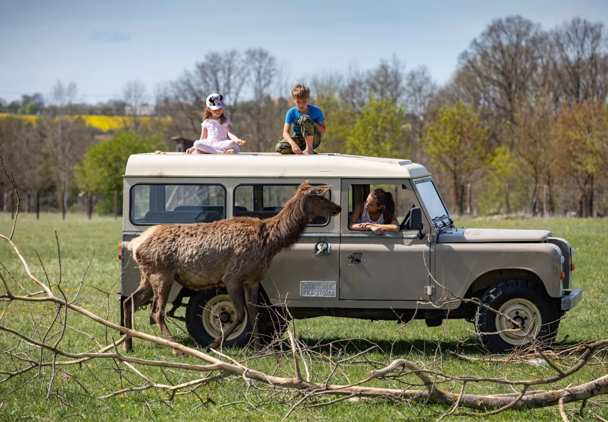 Residence Safari Resort - Bison Lodge