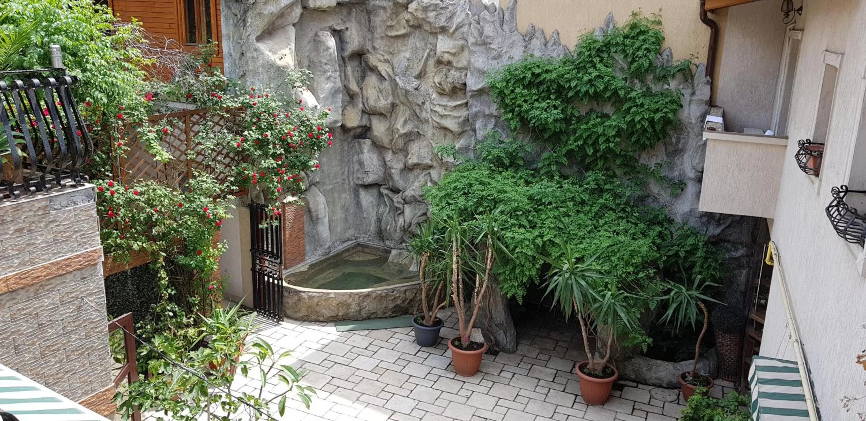 Garden view in City Garden Rooms and Apartments