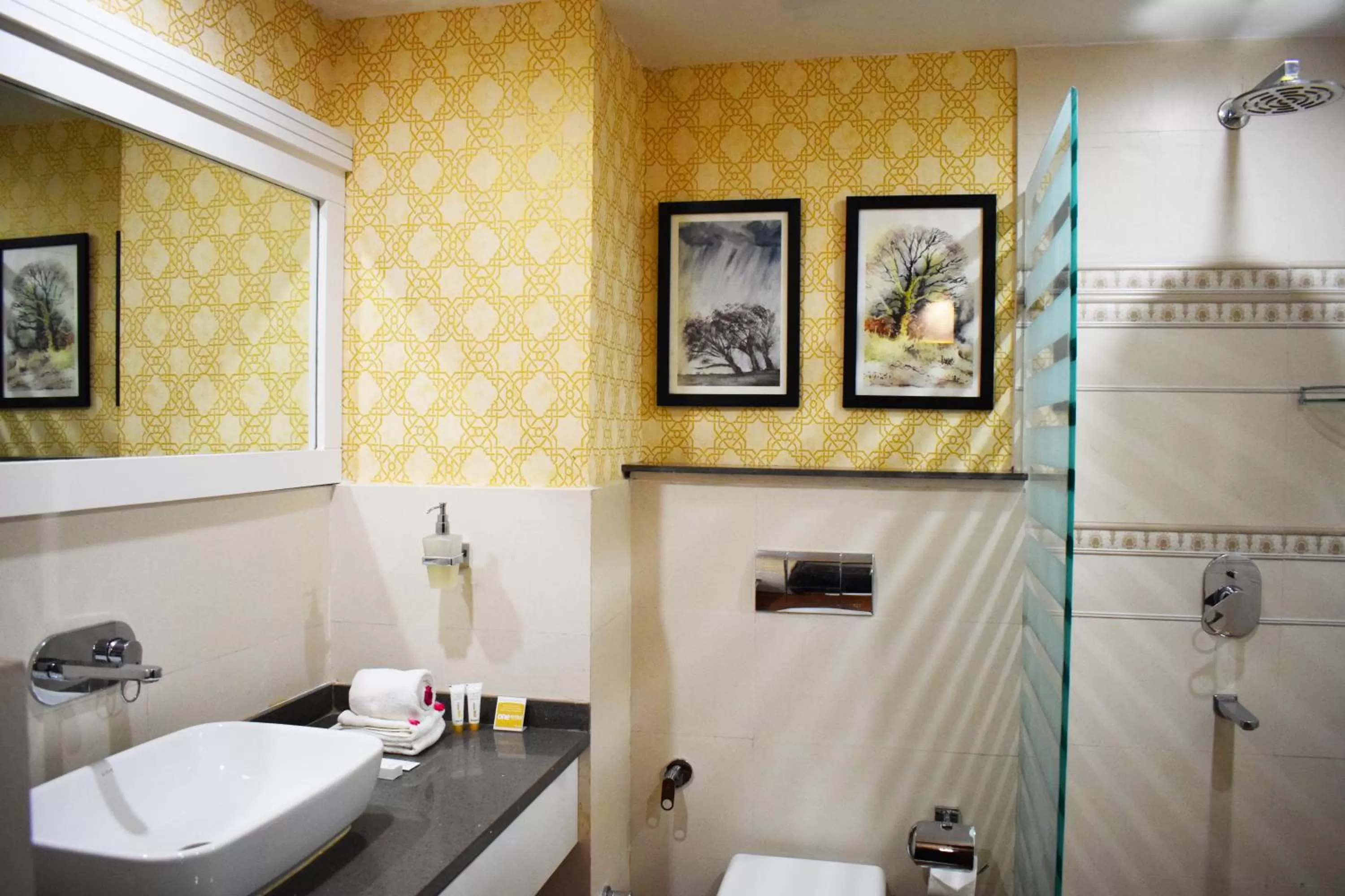 Bathroom in Hotel Green View - Behind Pramarth Niketan