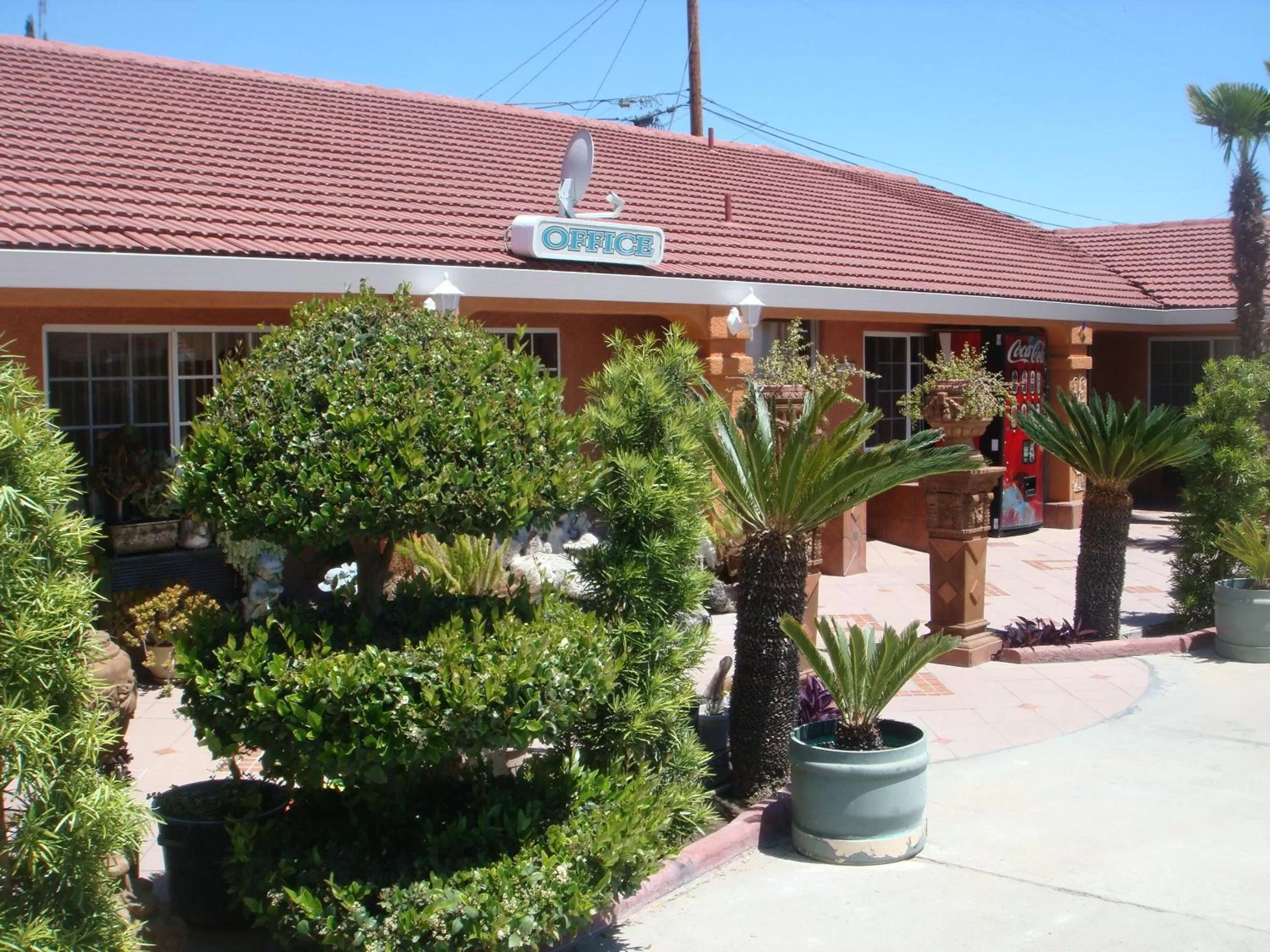 Garden in Economy Inn Los Banos