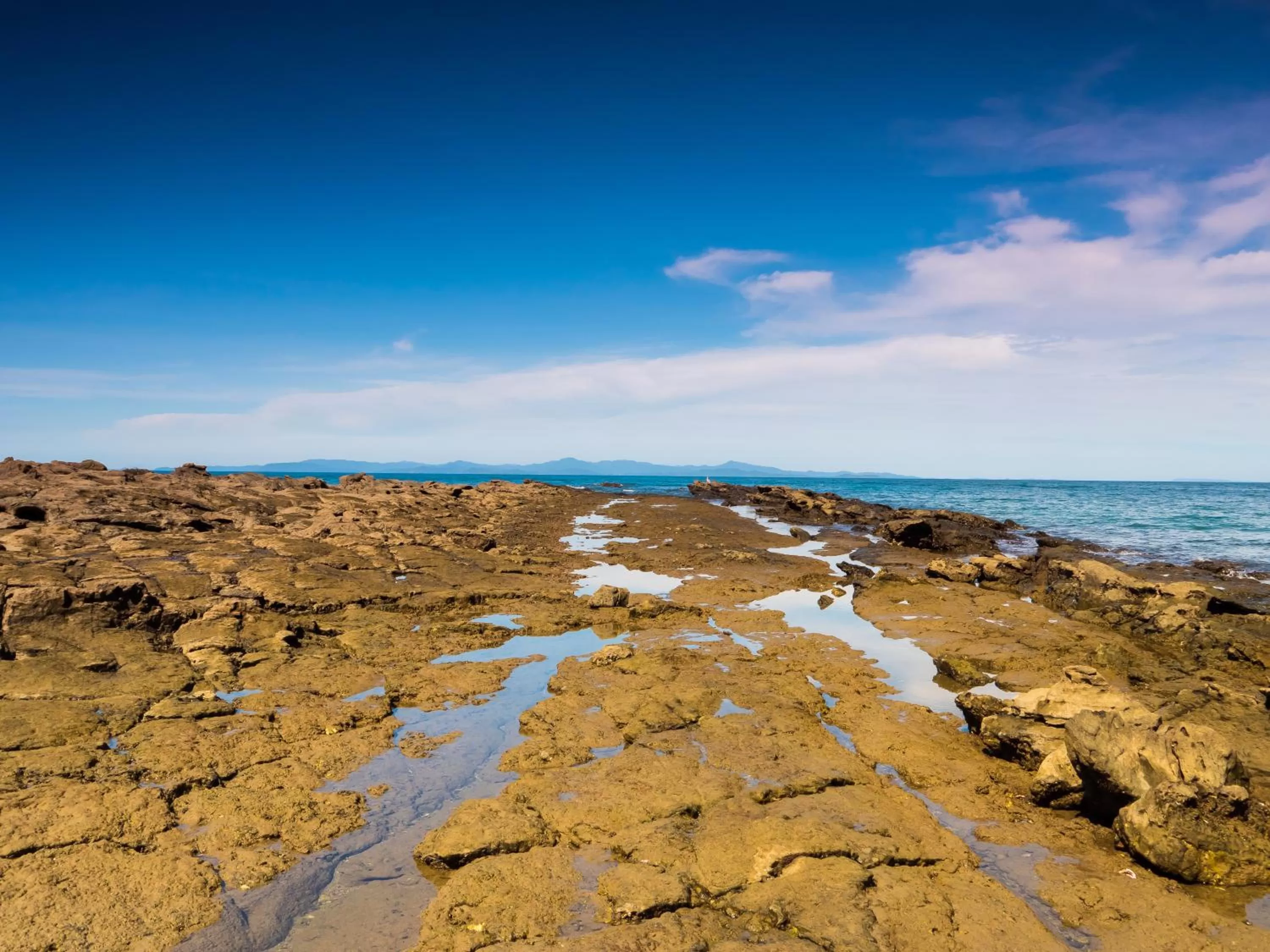Beach in Hotel Punta Leona