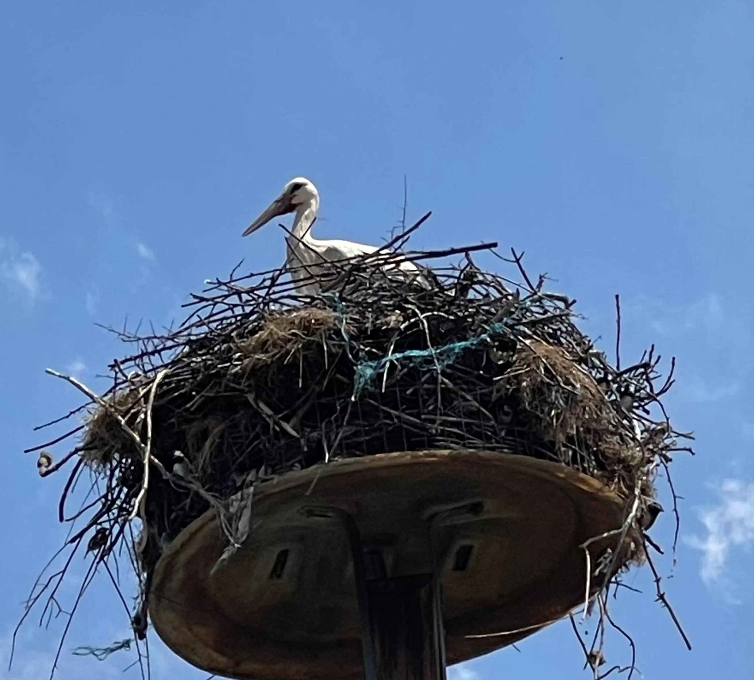 Day in Hotel Frankenthaler Hof