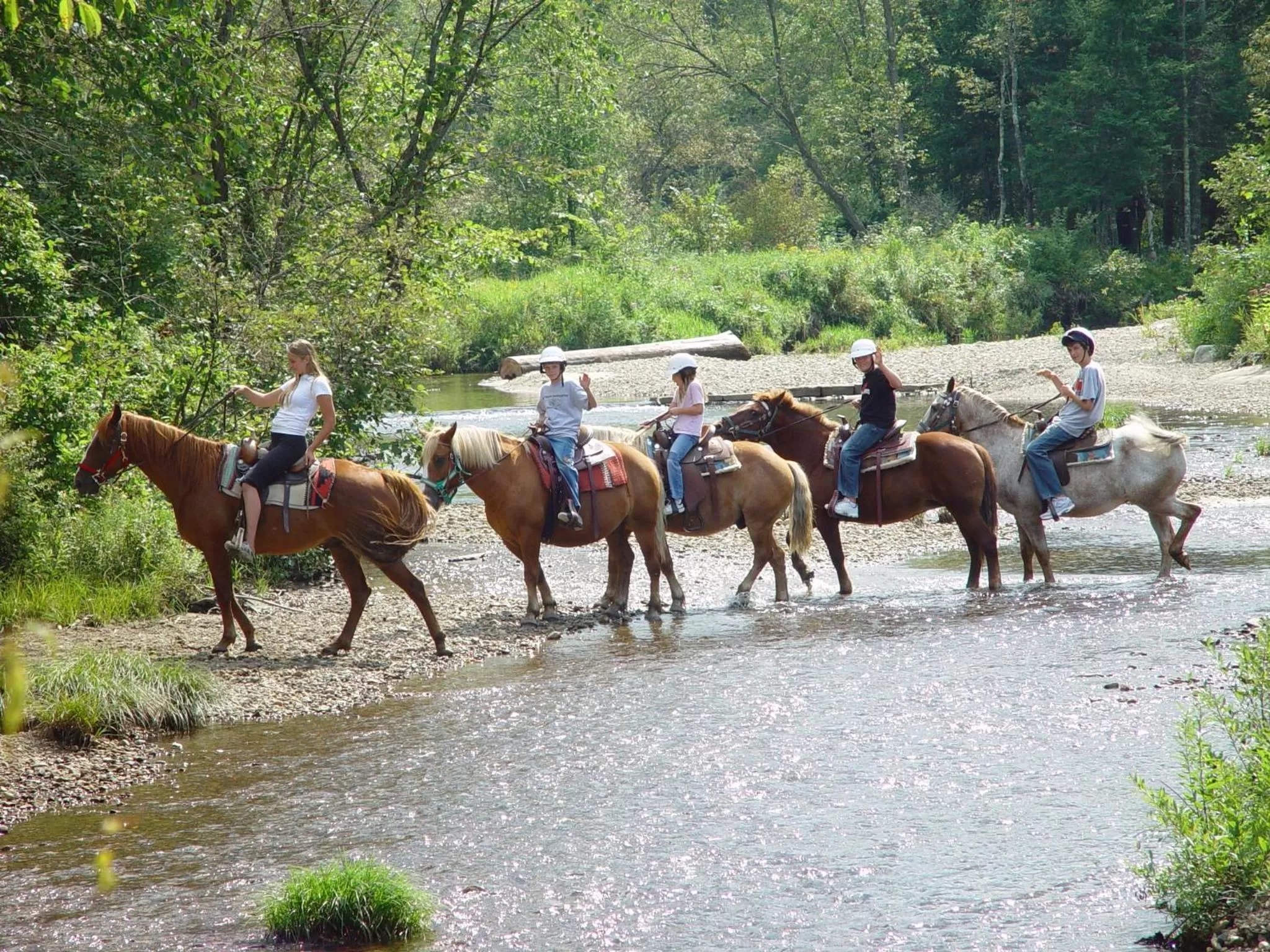 Horse-riding in Franconia Inn