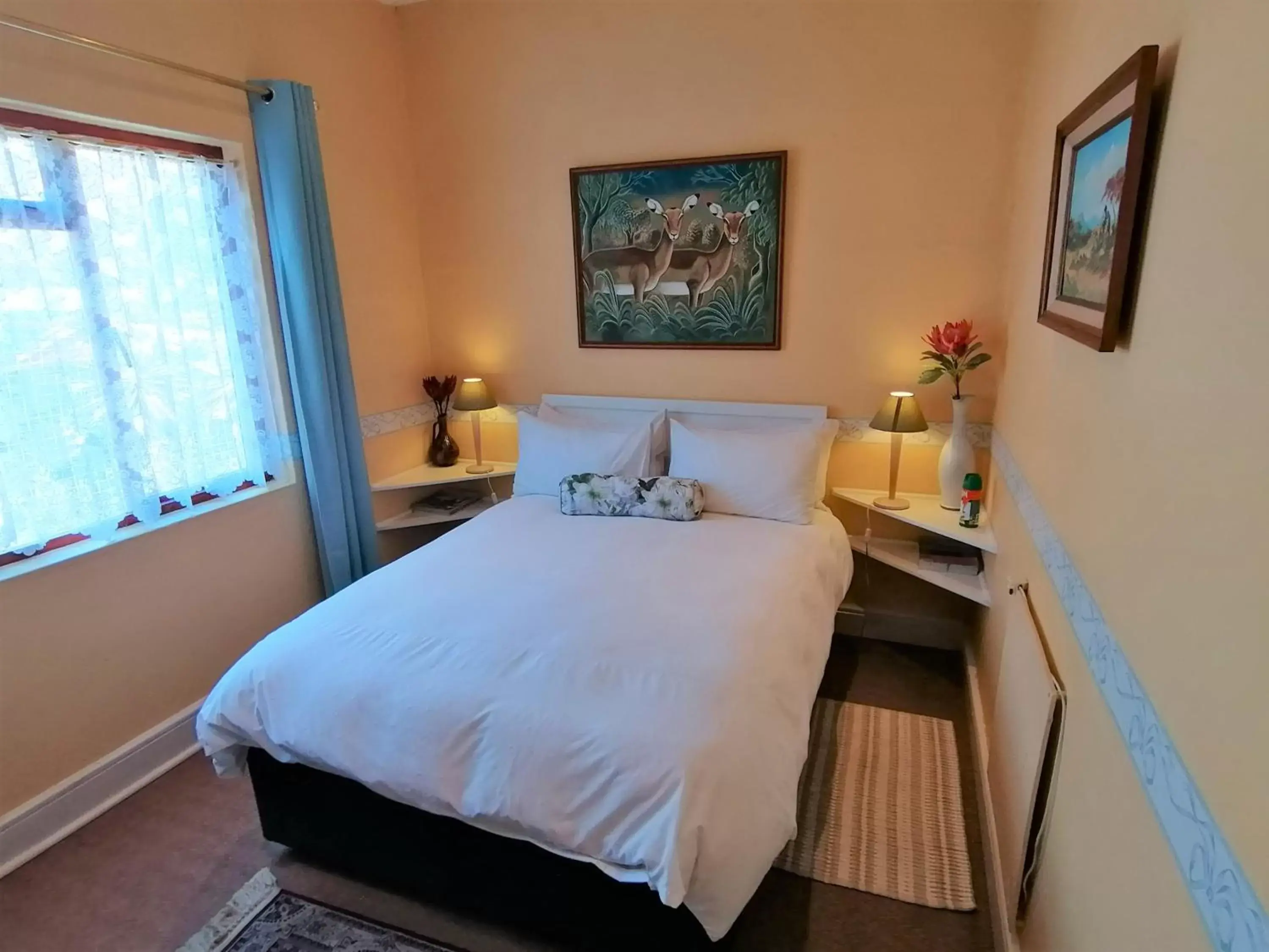 Standard Double Room - single occupancy in Squirrels Corner Standard Double Room - single occupancy in Squirrels Corner