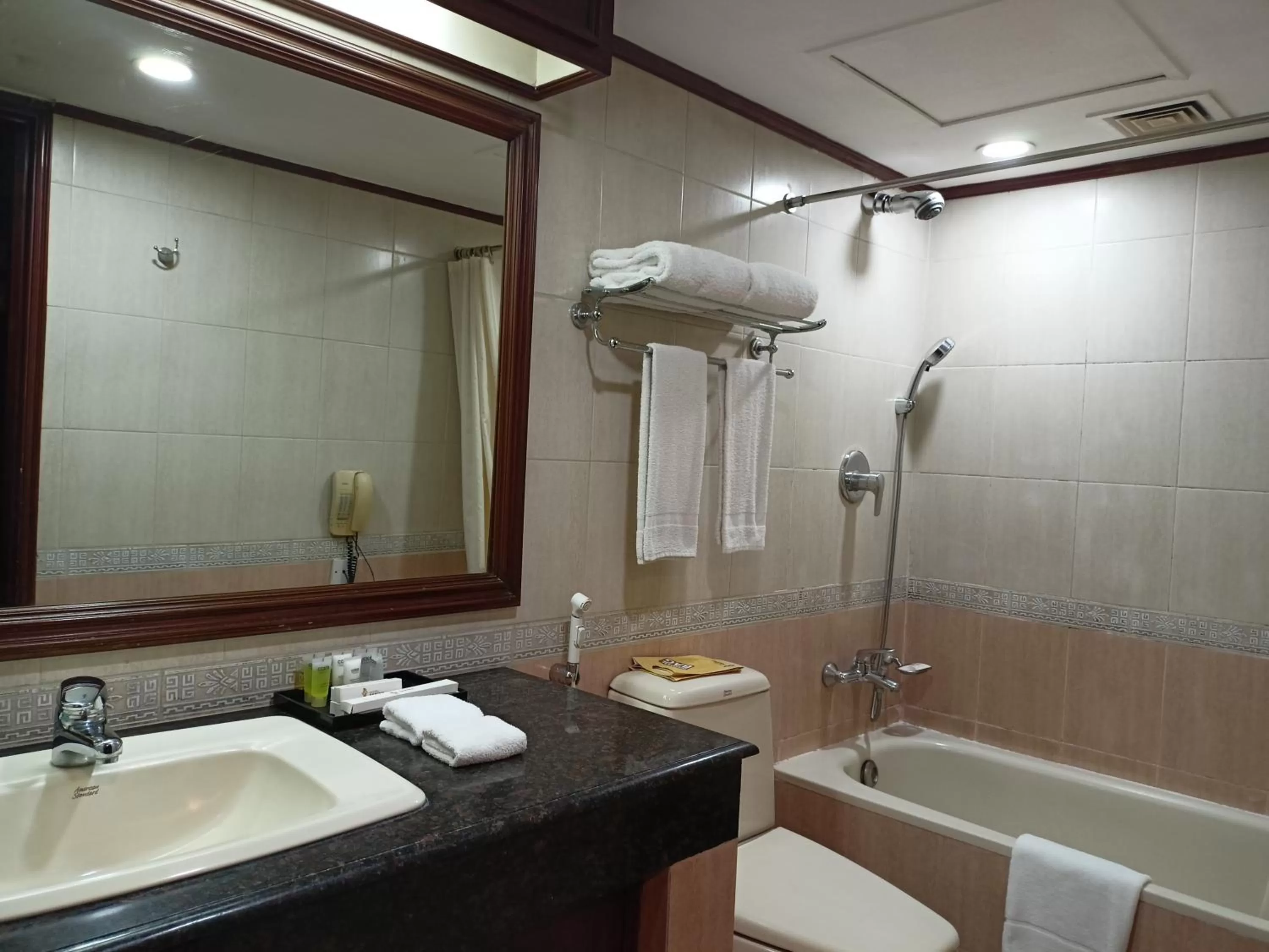 Bathroom in Hotel Sarina