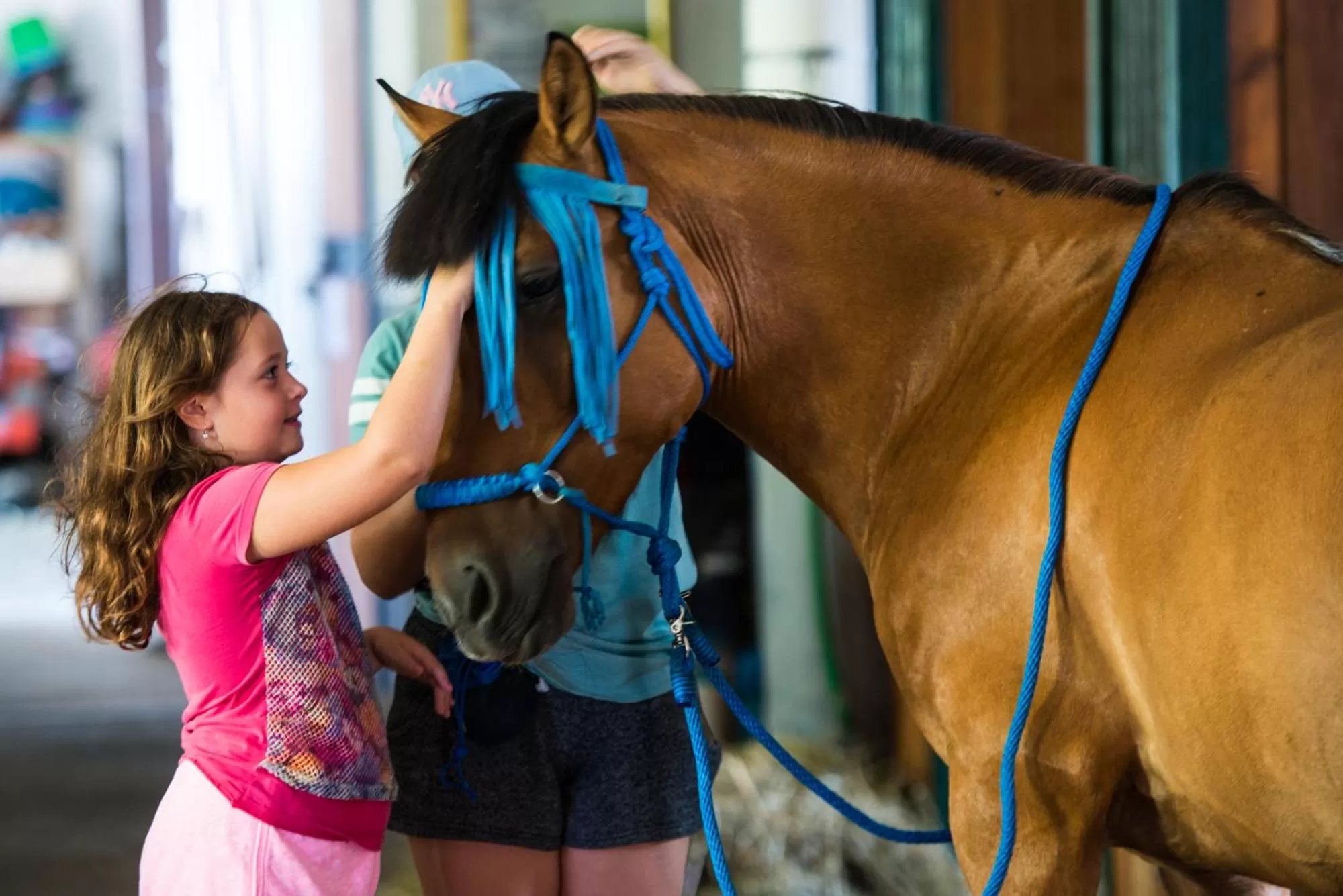 Horse-riding in Equitana Hotel Resort