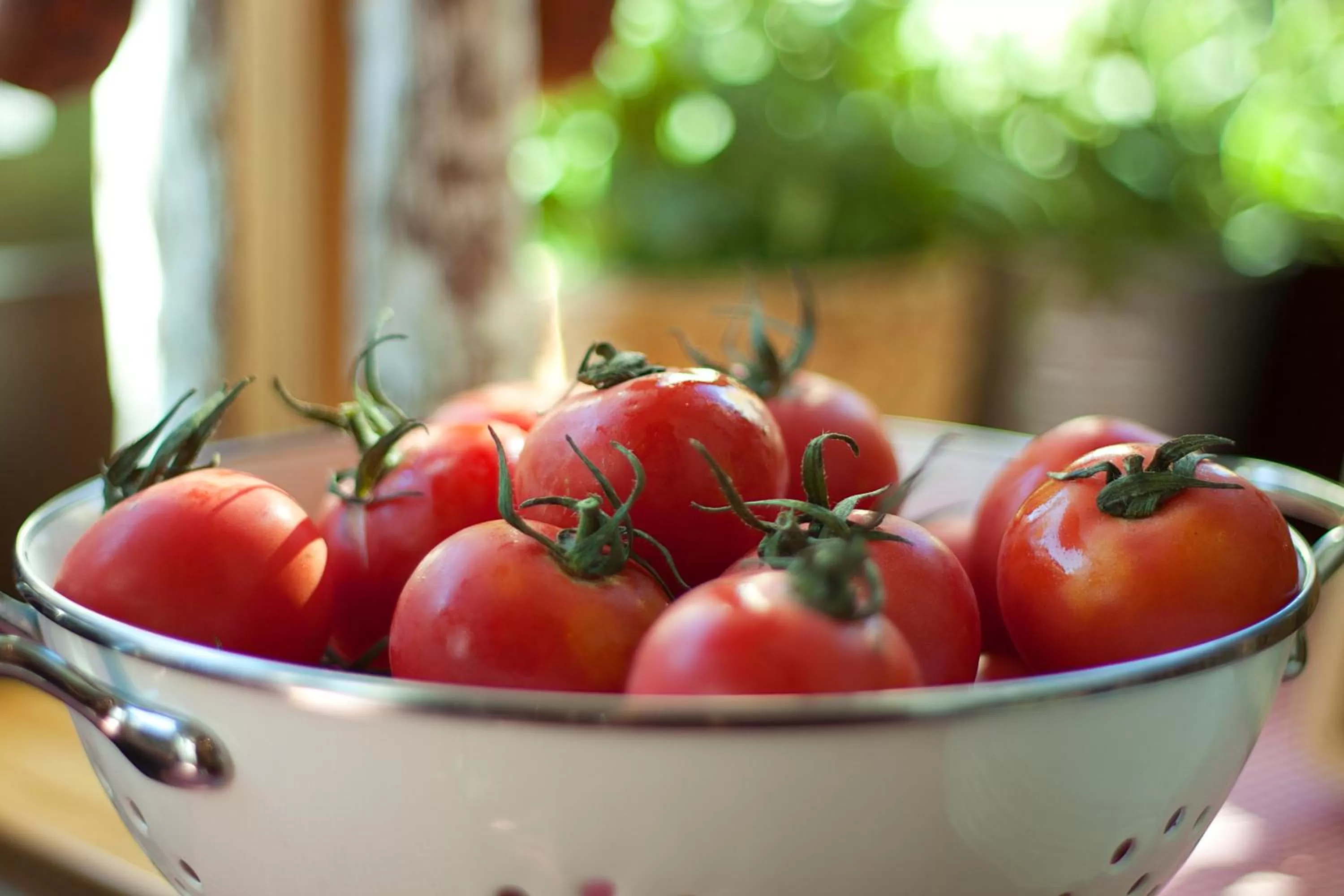 Food in Sixtytwo Hotel