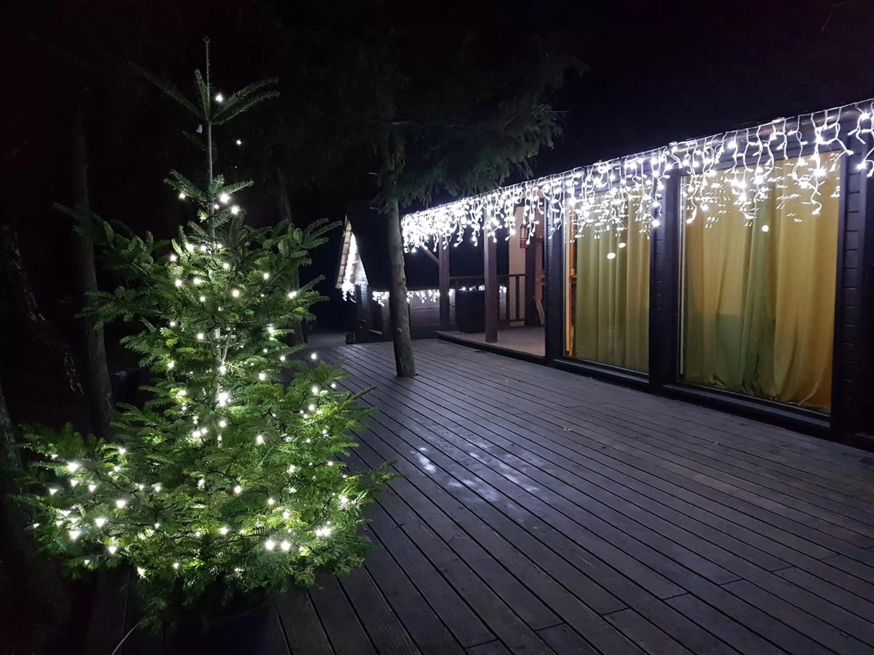 Tree House Relax Park