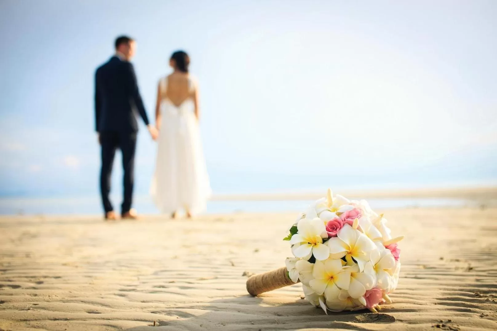 Day in Movenpick Waterpark Resort & Spa Soma Bay