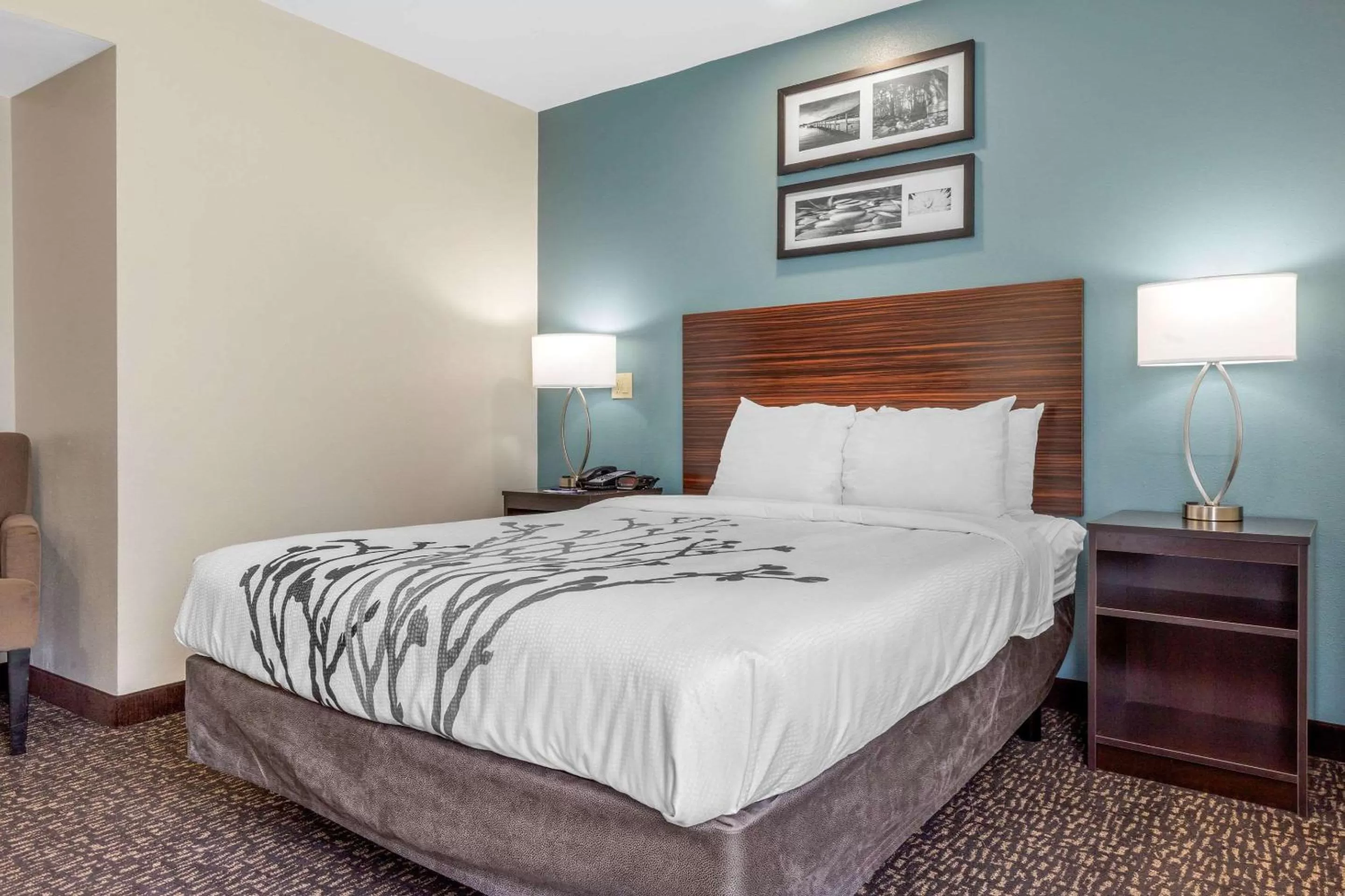 Bedroom, Bed in Sleep Inn & Suites Johnson City