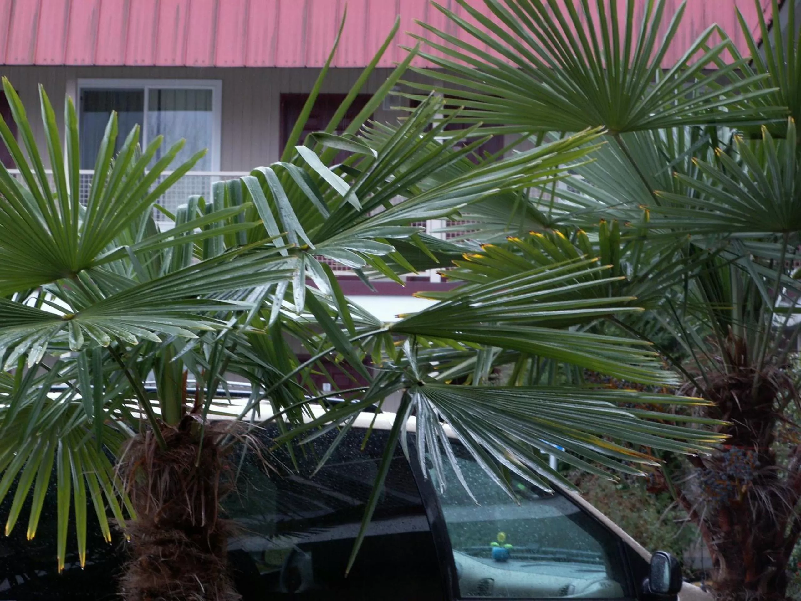 Facade/entrance in Express Inn & Suites Eugene