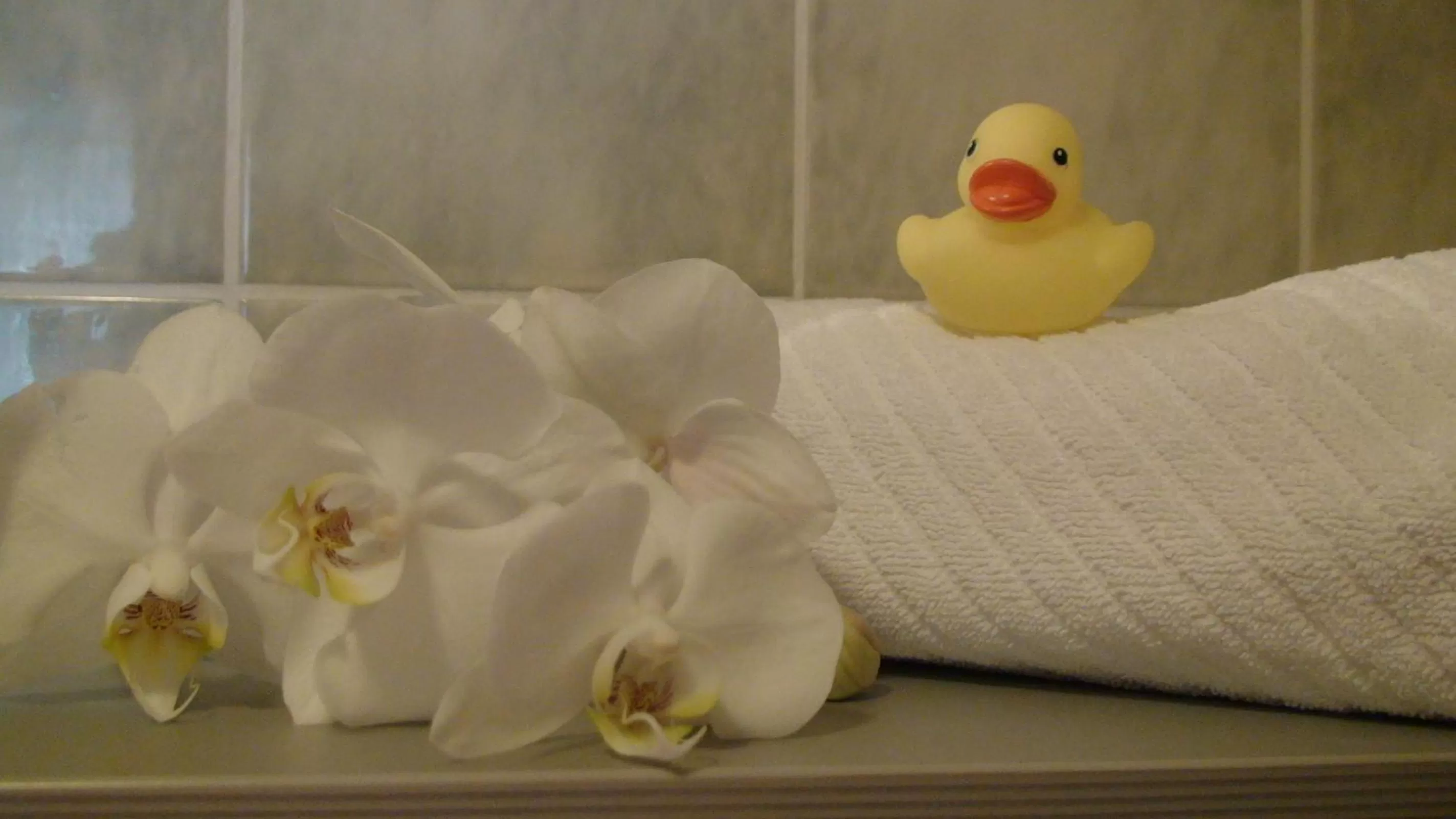 Decorative detail, Bed in Hotel Cascade Superior