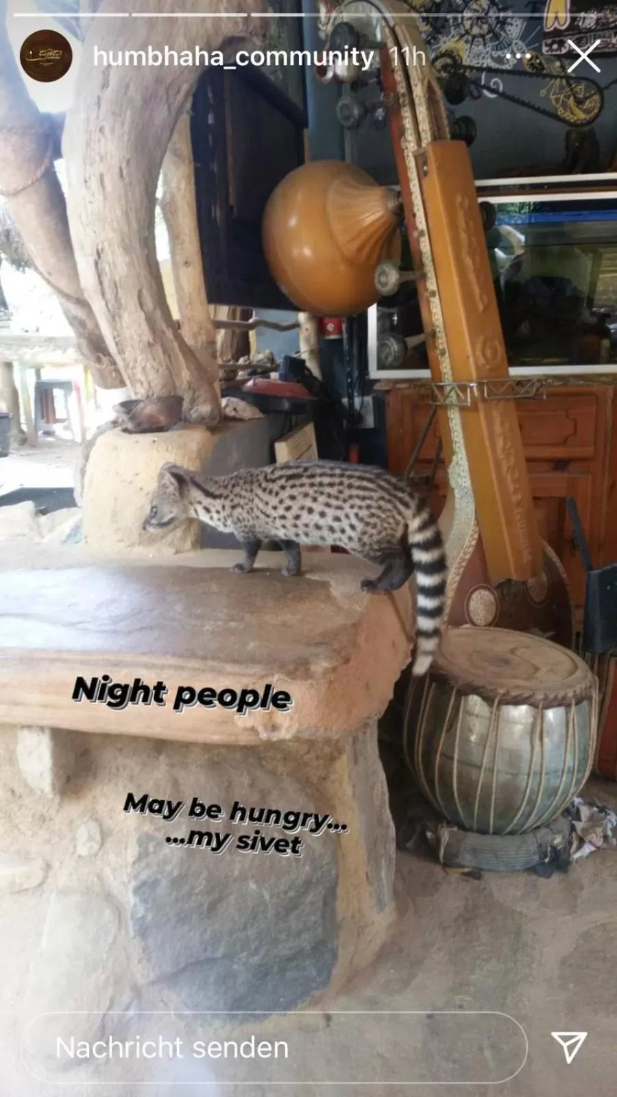 Jungle river humbhaha hostel