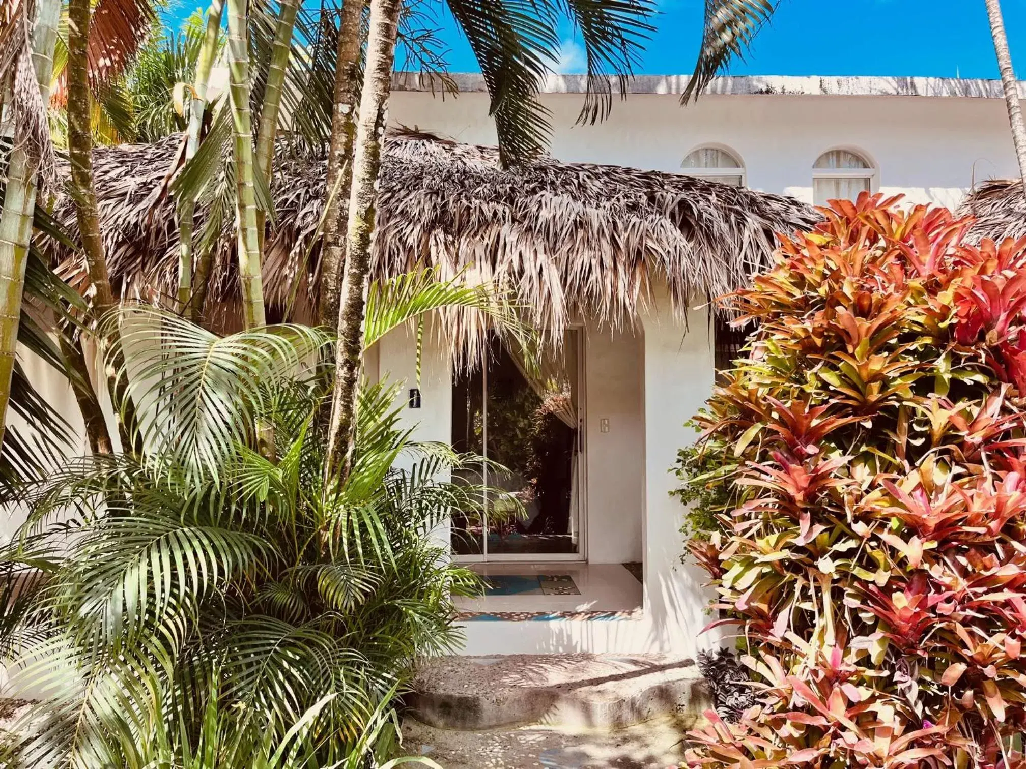 Deluxe Junior Suite in Hotel La Tortuga Deluxe Junior Suite in Hotel La Tortuga