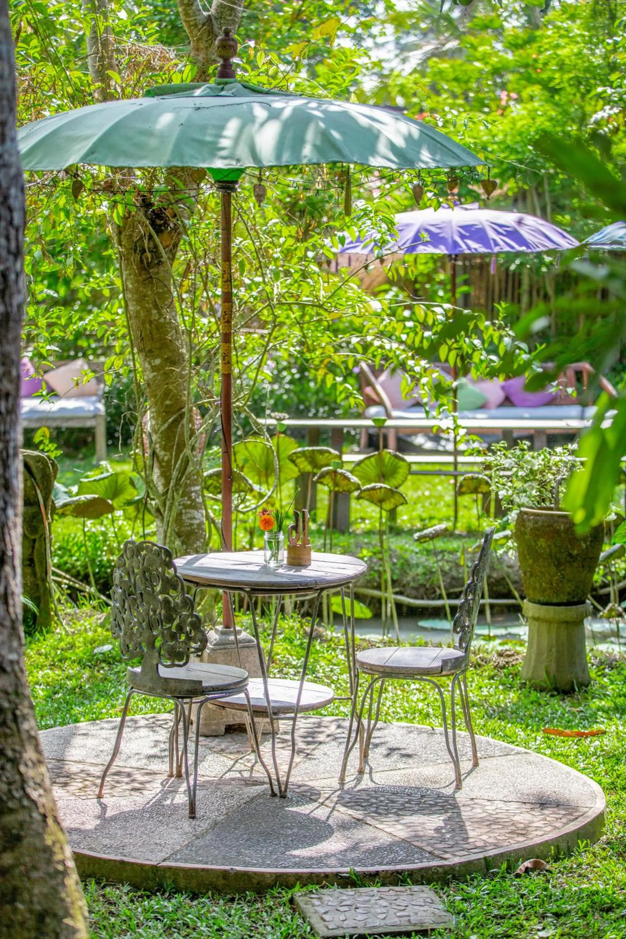 Garden in Swasti Eco Cottages