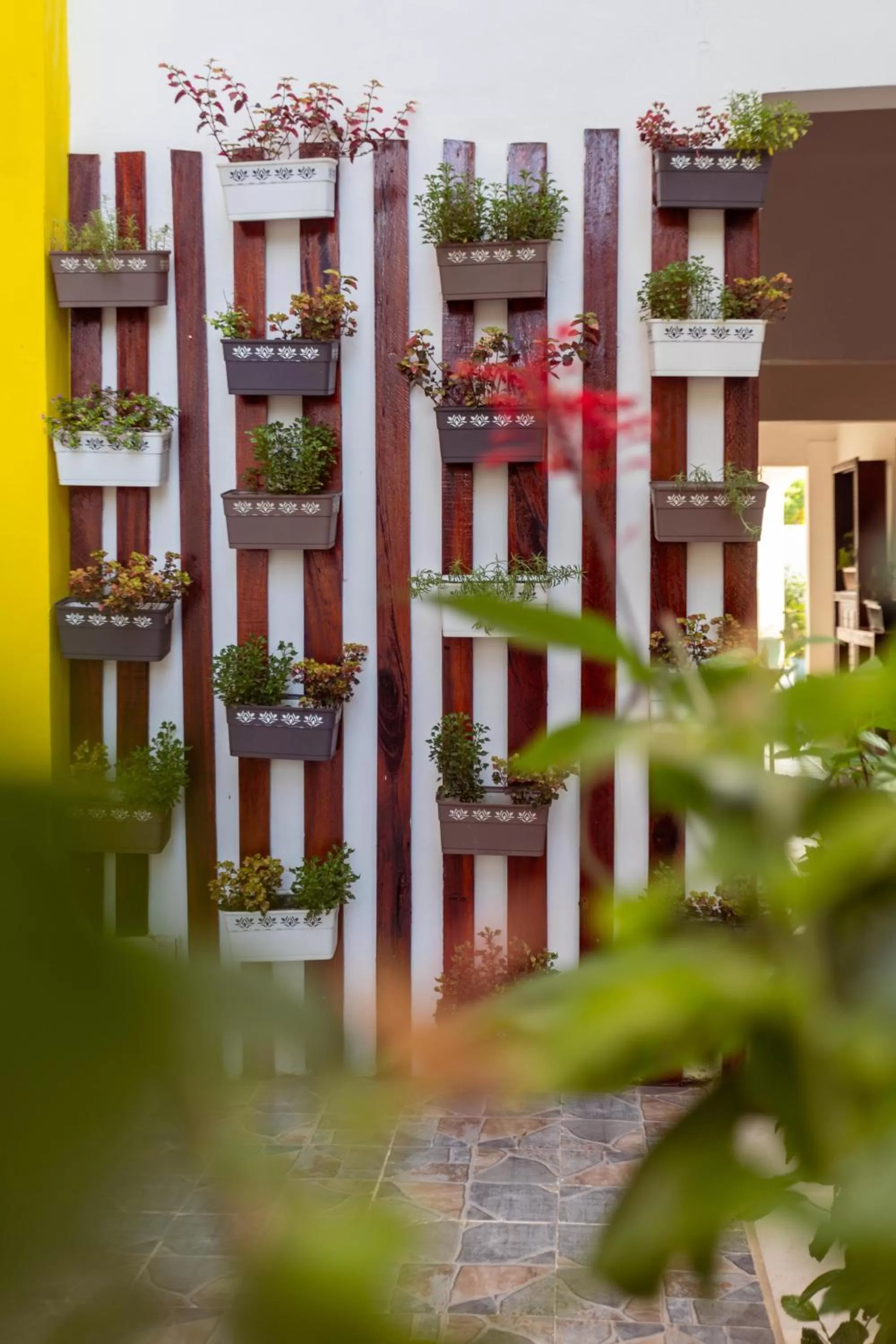 Garden view in Canary Nungwi Hotel & Free SPA