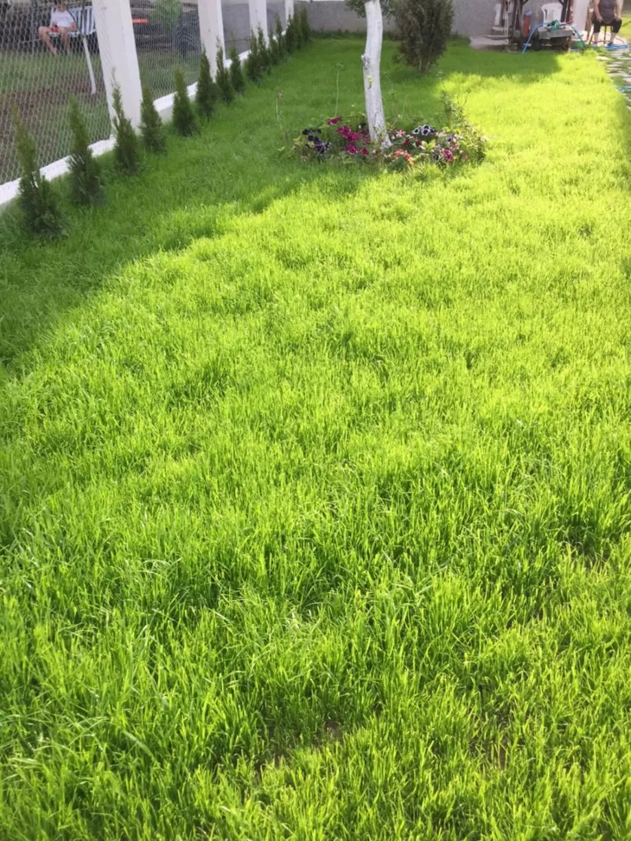 Garden in Family Hotel Malibu