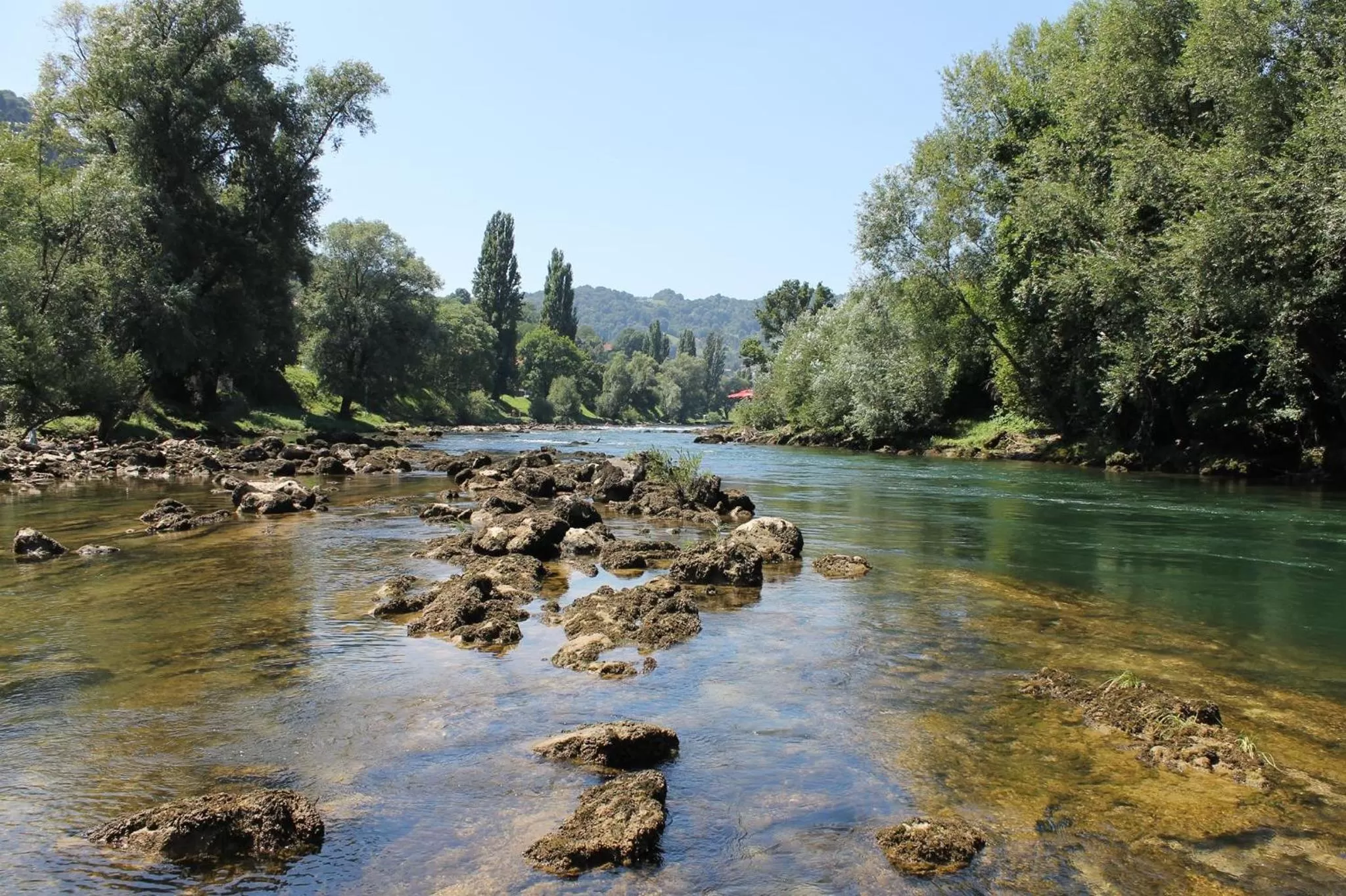 Garden, Natural Landscape in Motel Alibi