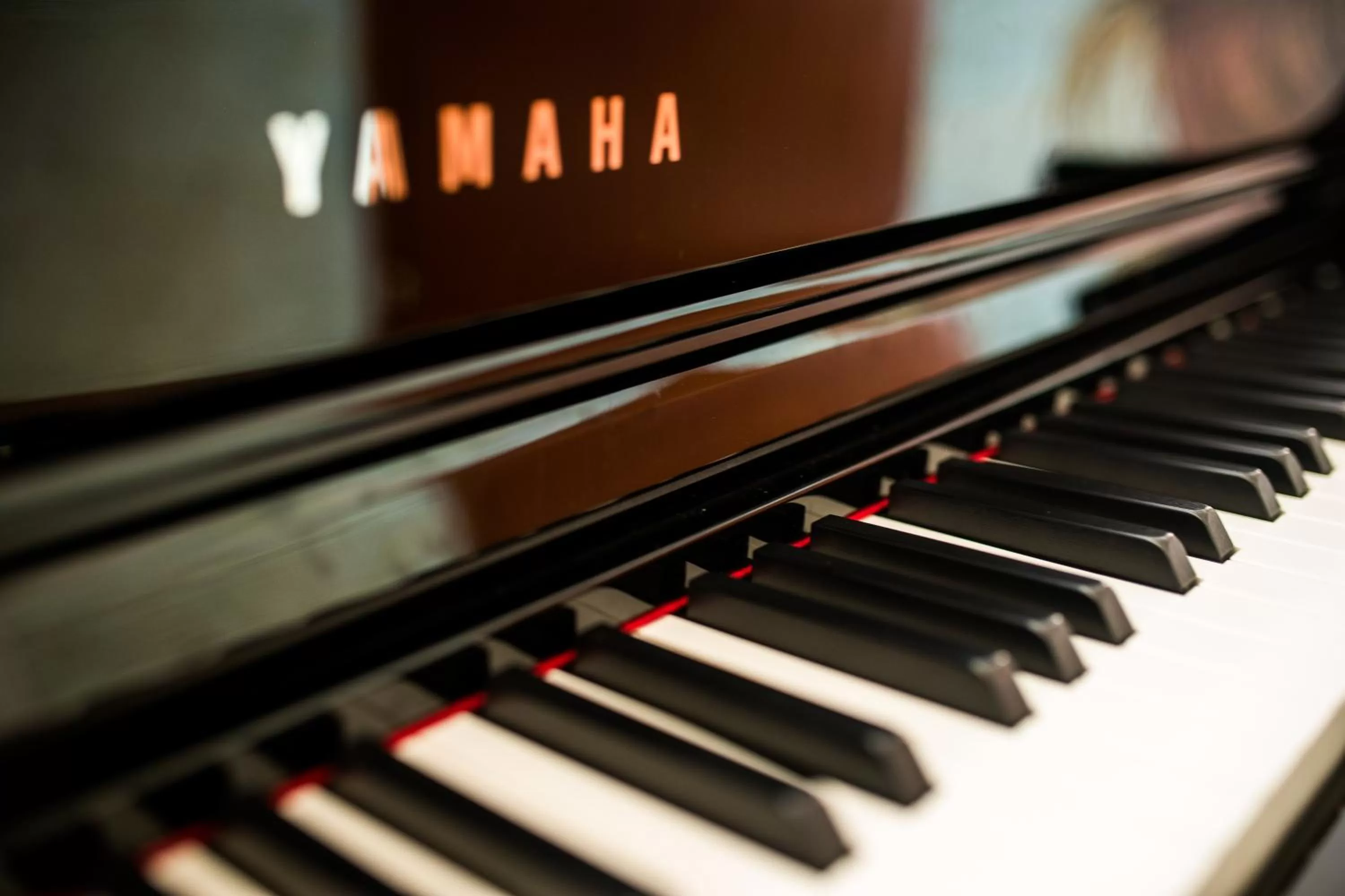 Restaurant/places to eat in Hotel Olympic Spa & Wellness