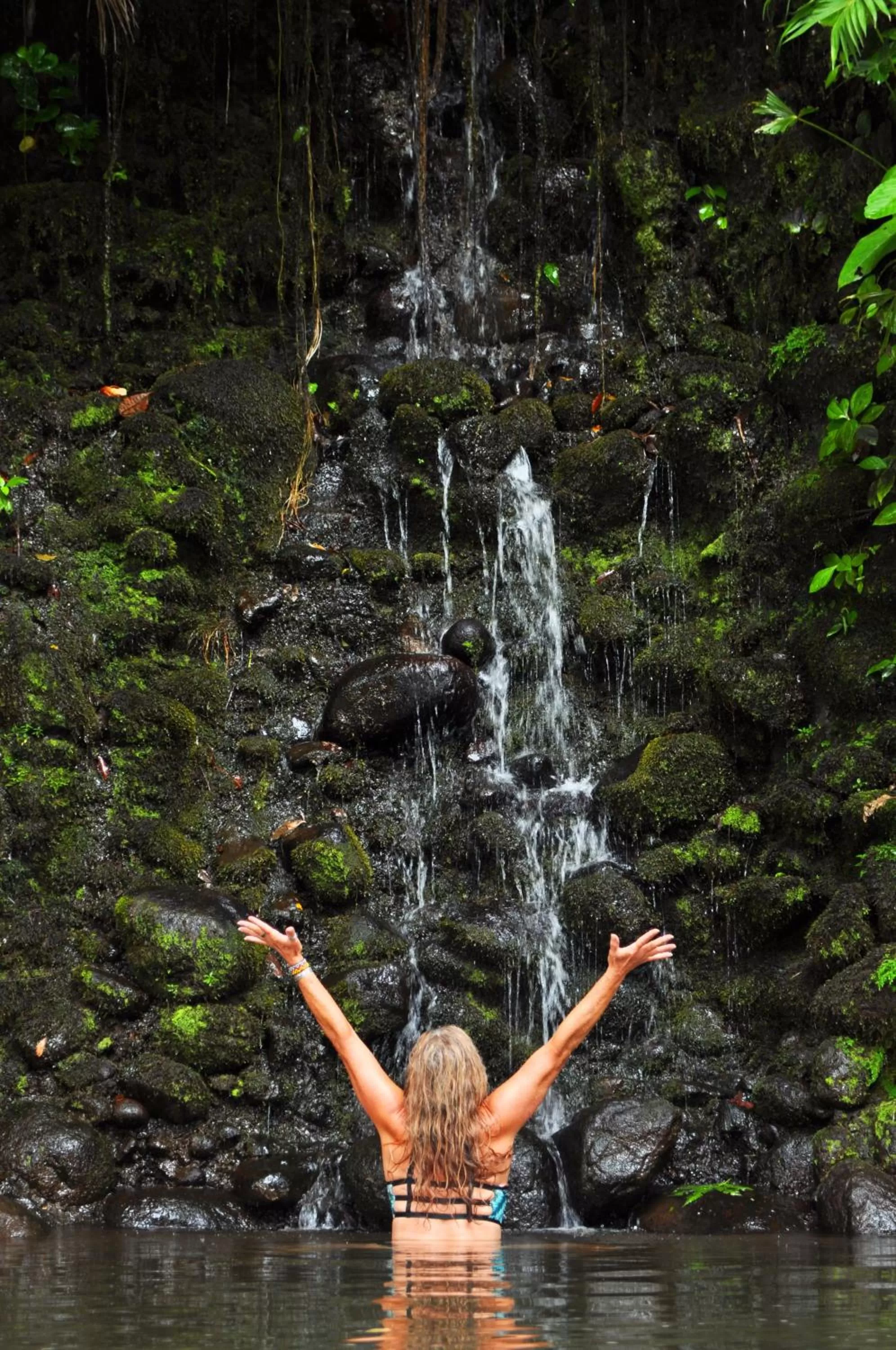 River view, Other Animals in Cabanas Rio Encantado