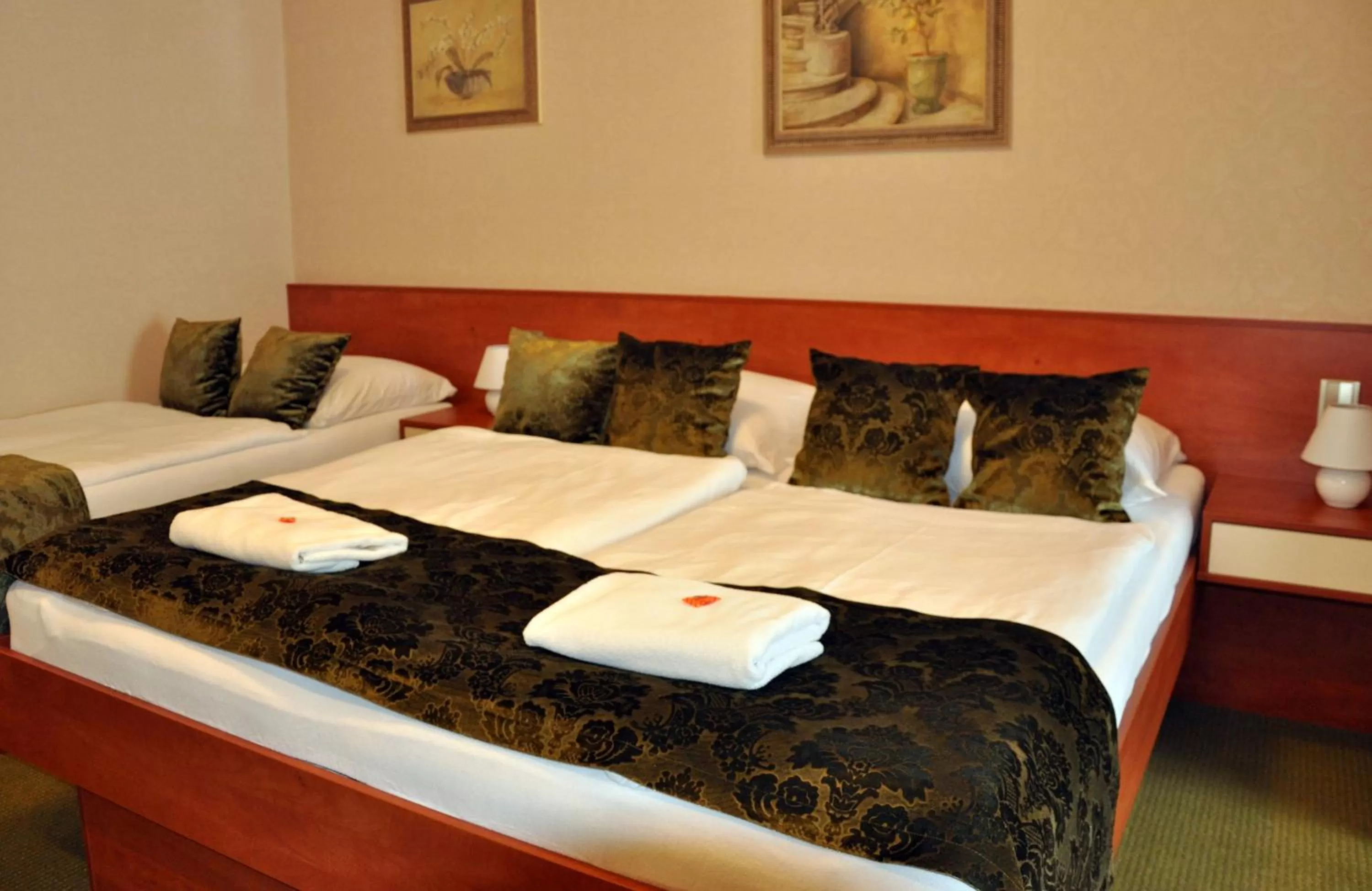 Bed in Hotel Roudna