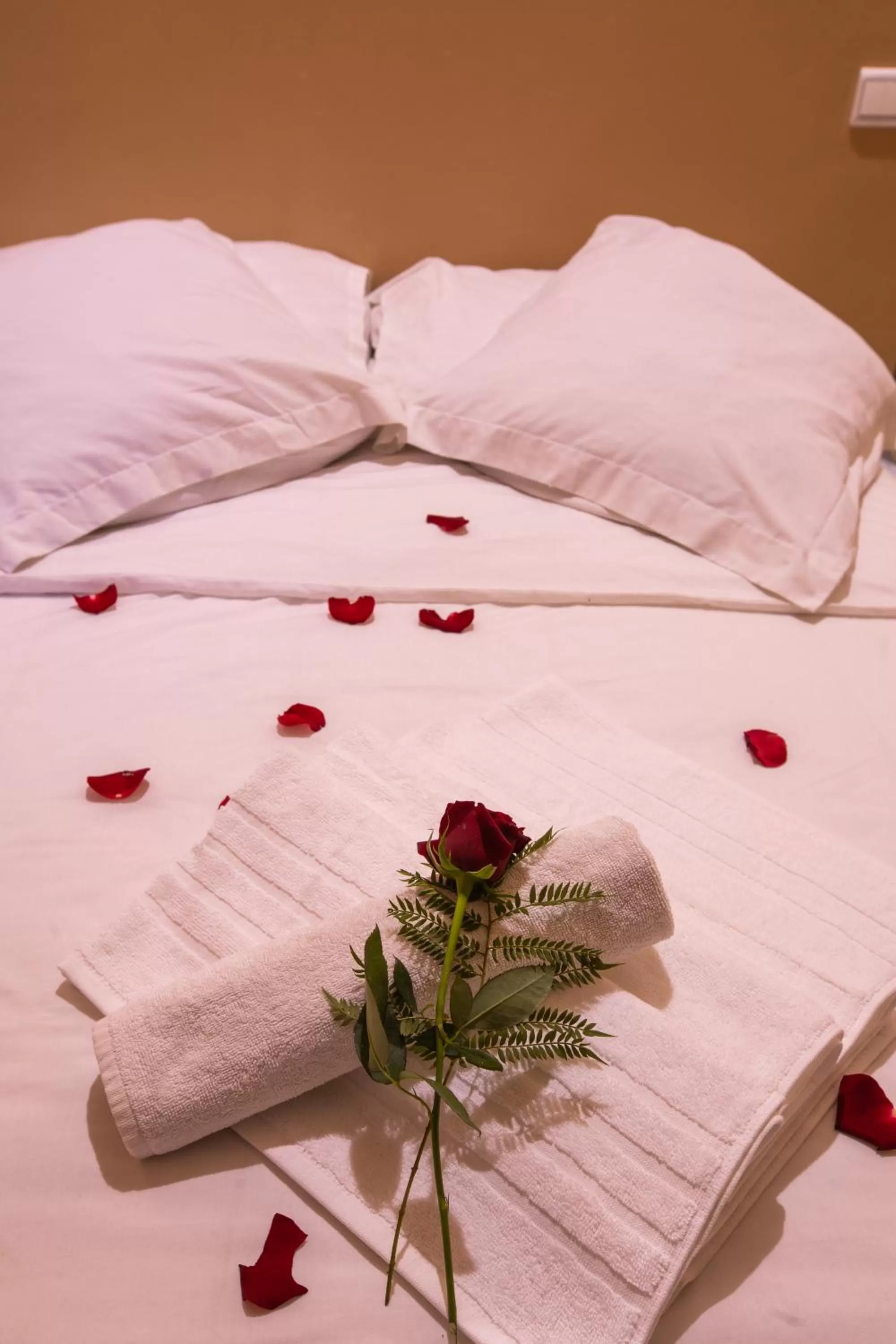 Bed in Hotel Toulousain