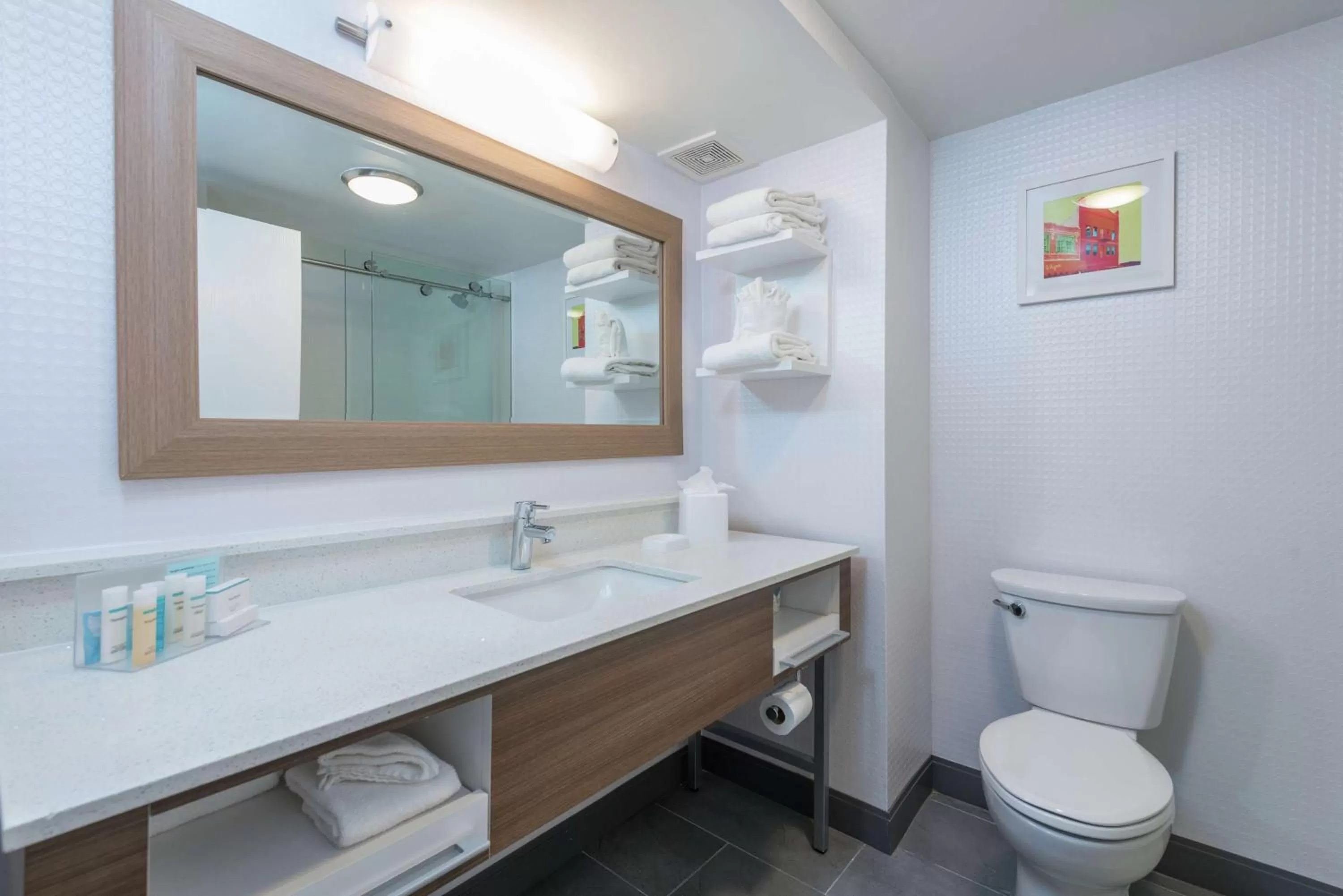 Bathroom in Hampton Inn Tampa-Veterans Expressway