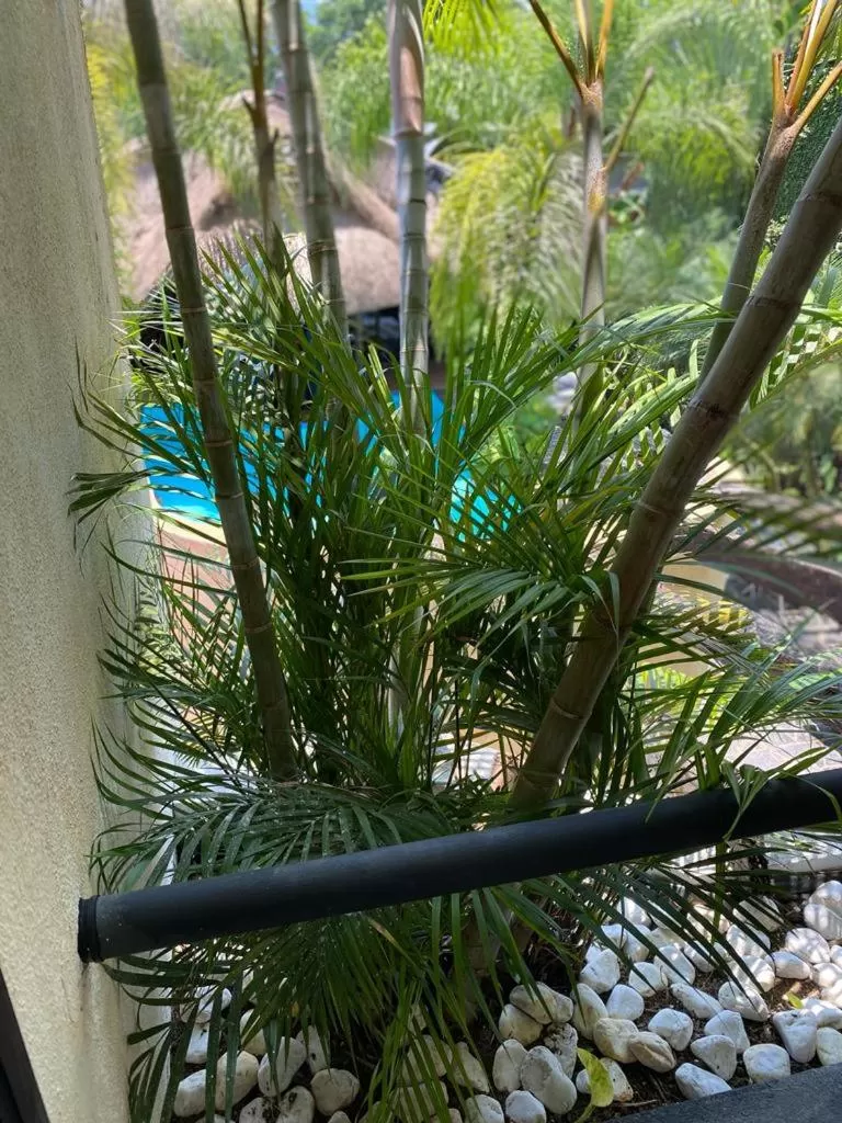 Hotel Camino Surreal Xilitla