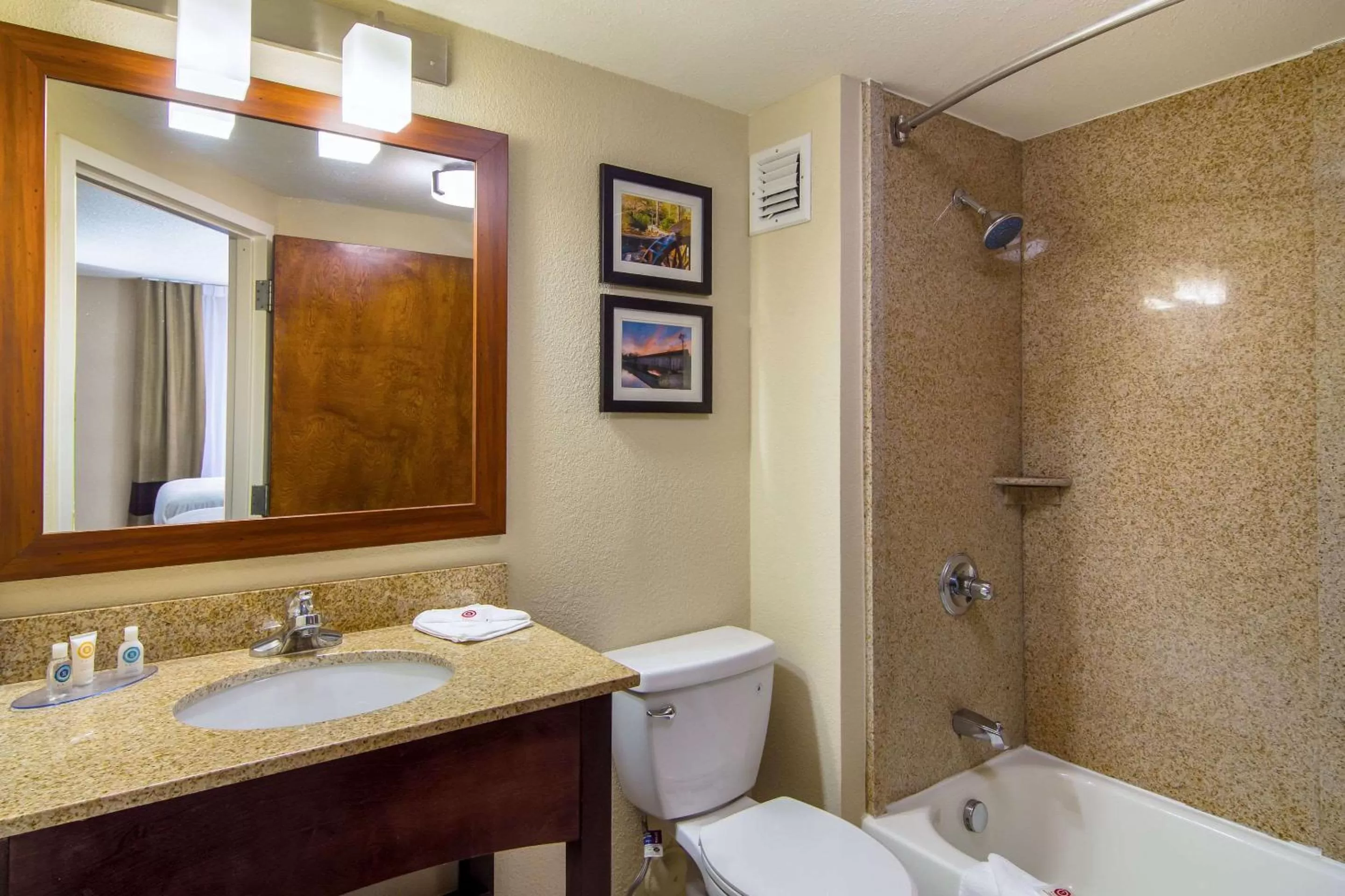 Bathroom in Comfort Inn Acworth - Kennesaw Northwest