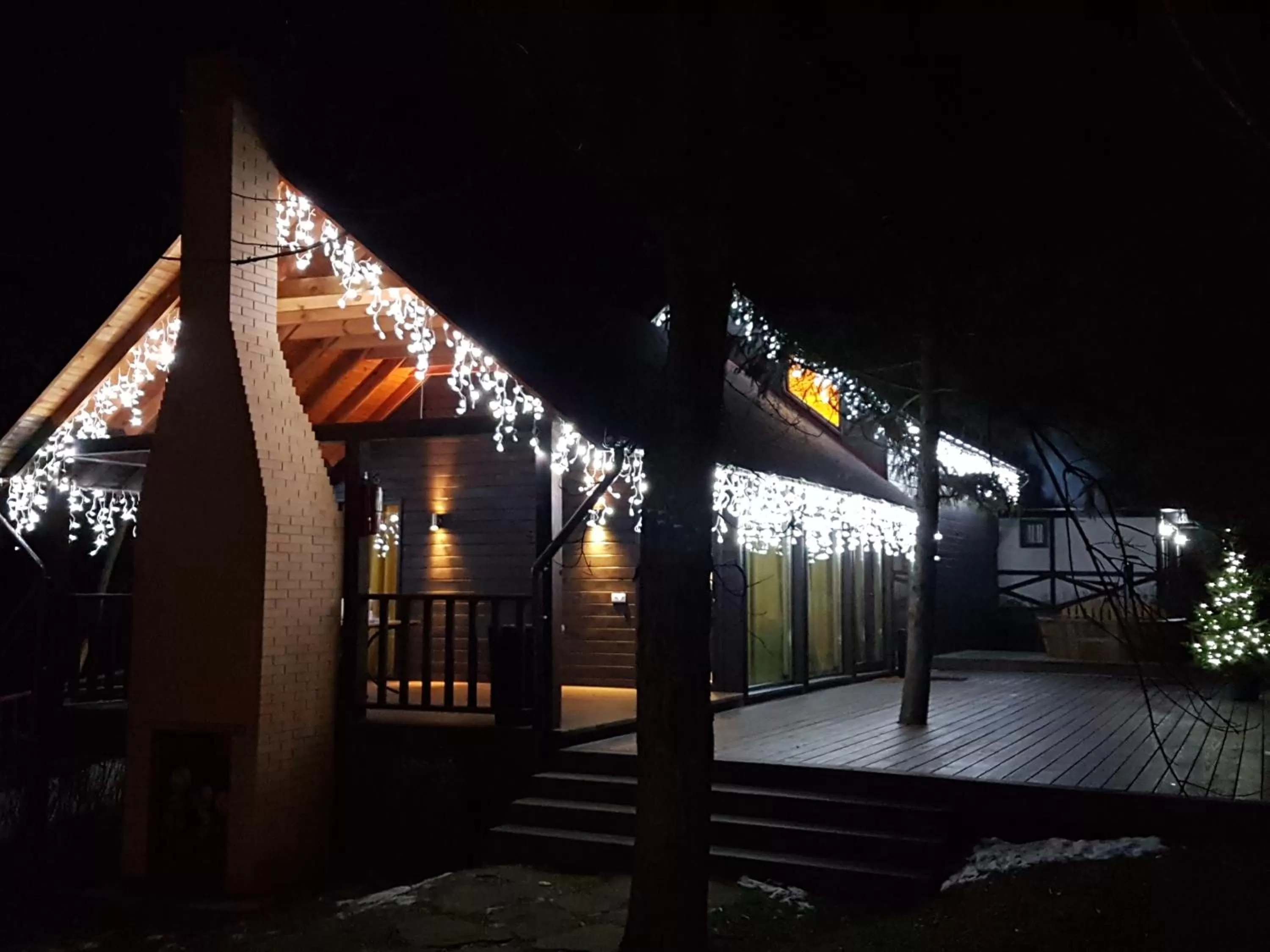 Property Building in Tree House Relax Park