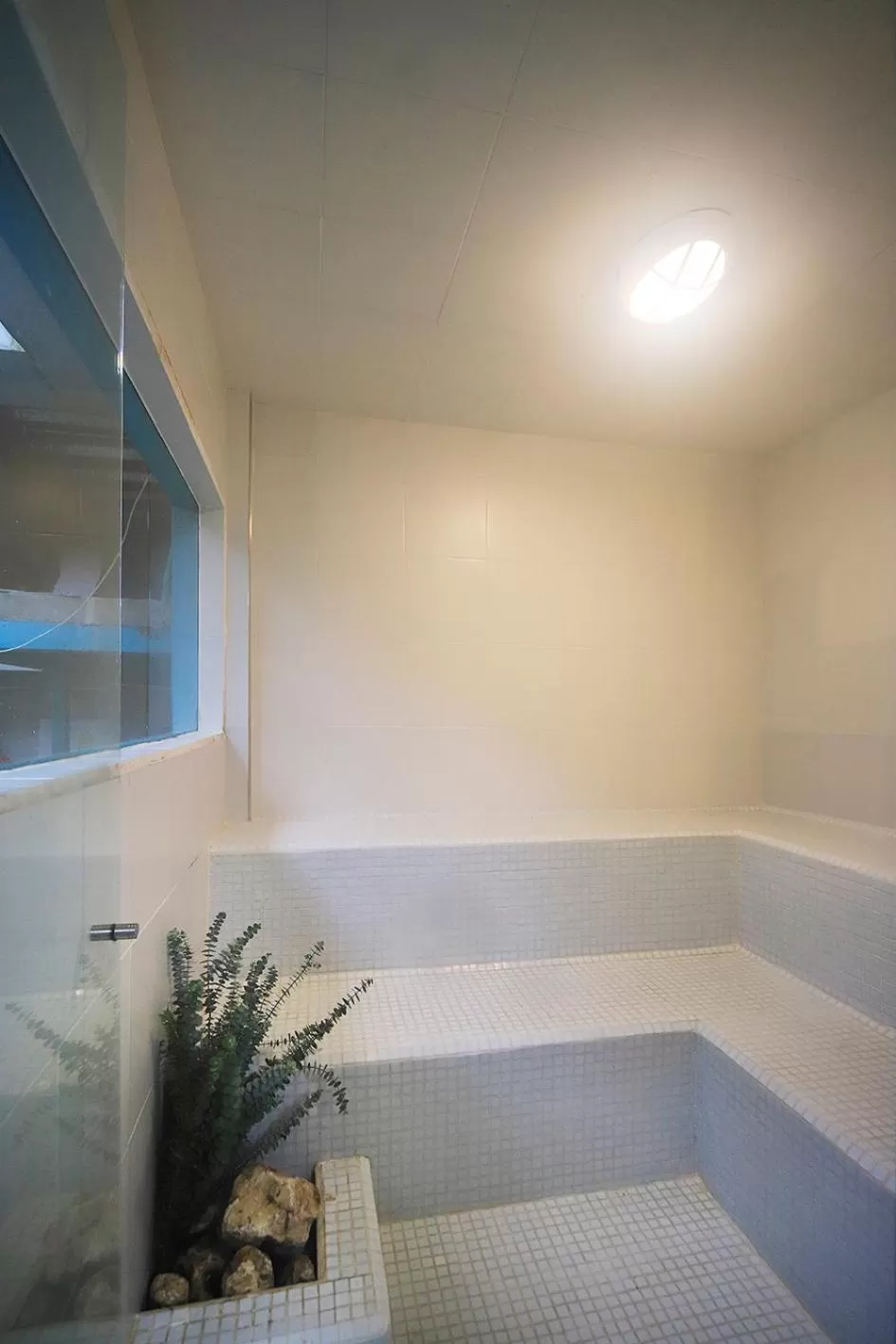 Casa de las Dos Palmas