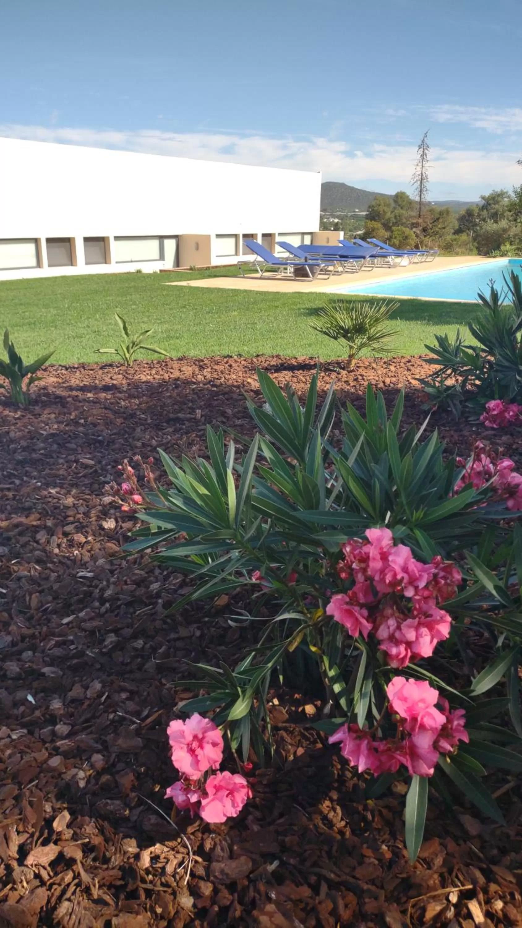 Garden in Suites Sunny hill