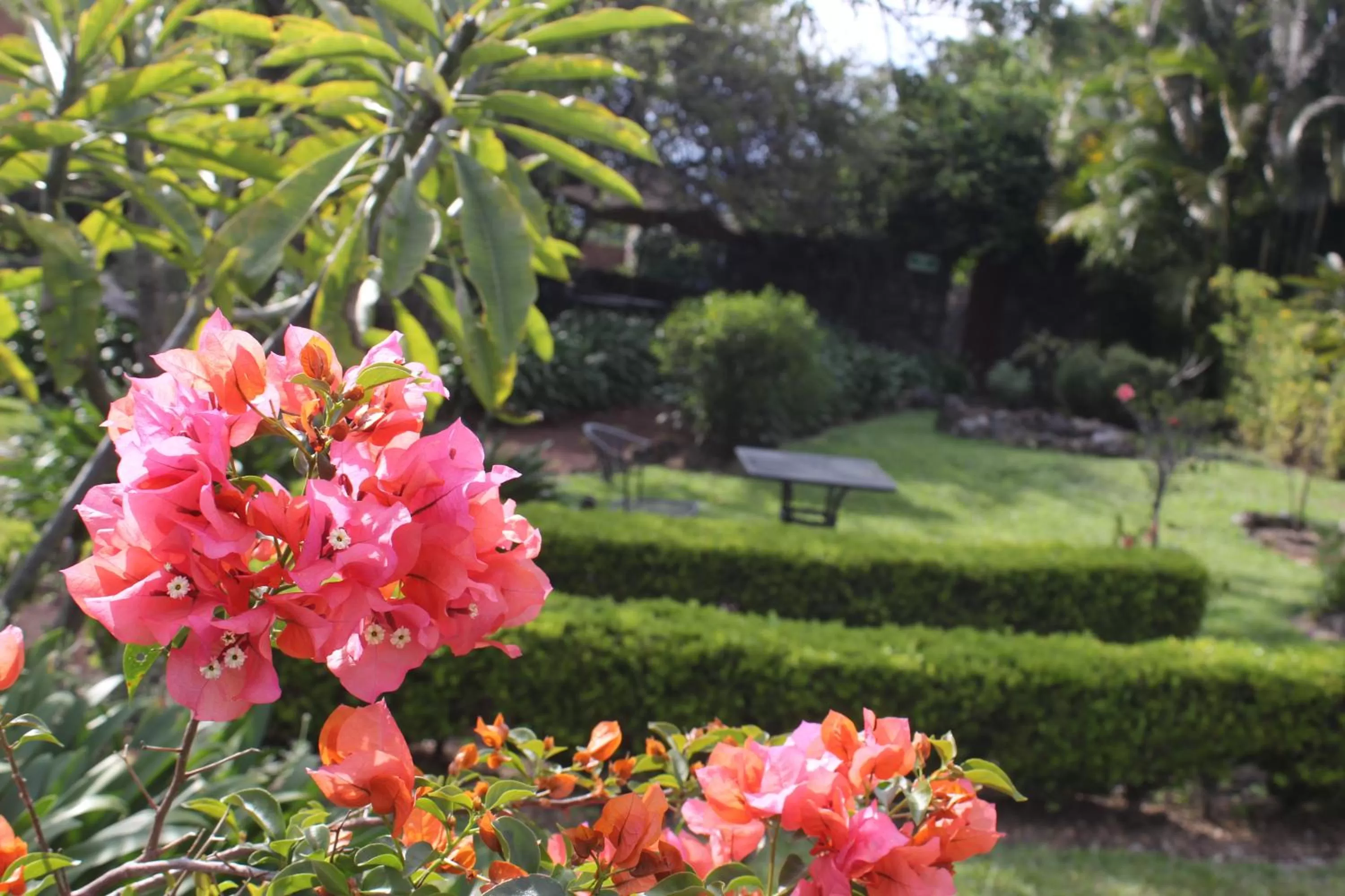 Patio in Valle Místico Hotel Boutique