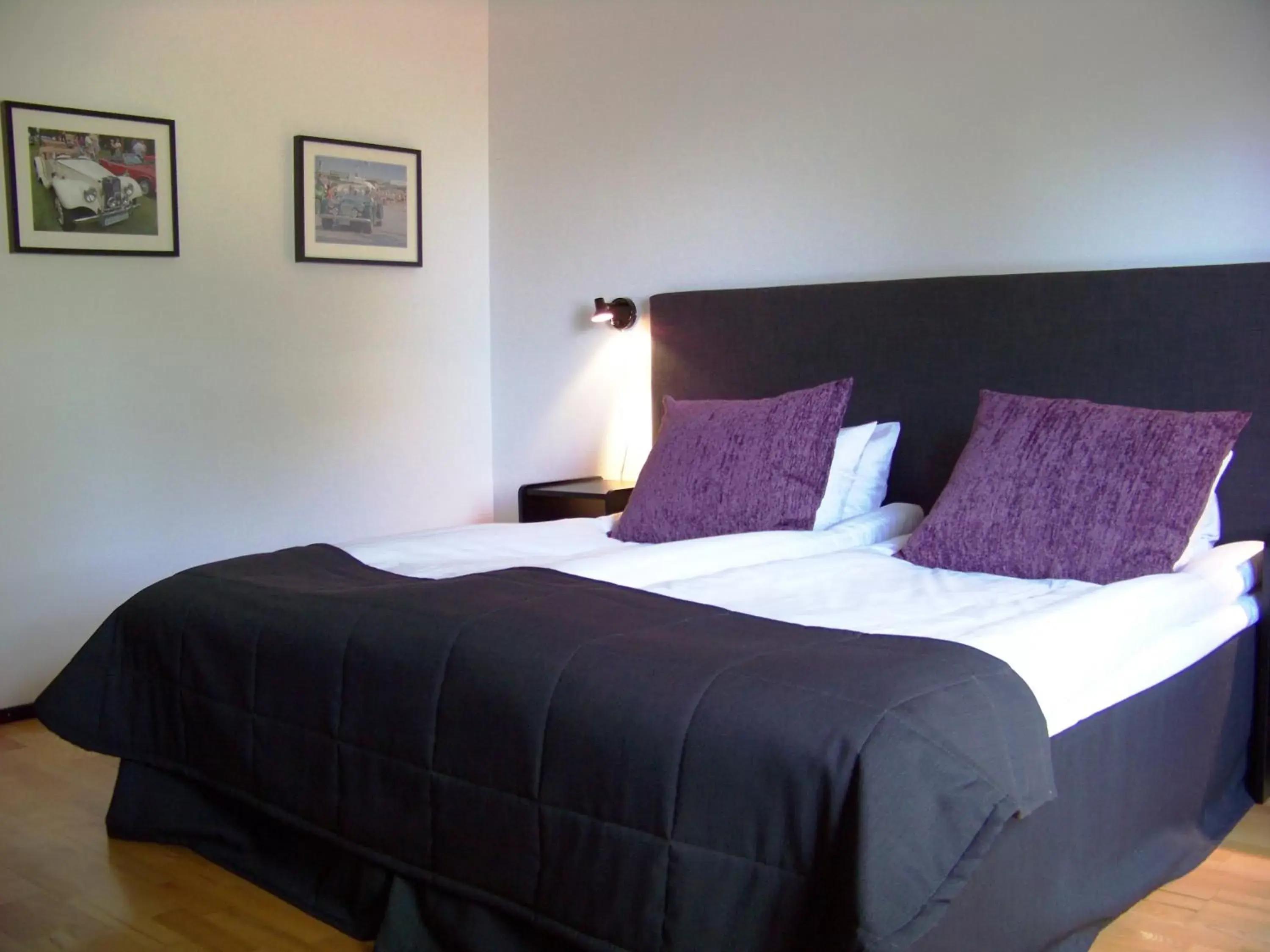 Double Room with Park View - single occupancy in Hotel Bellevue Double Room with Park View - single occupancy in Hotel Bellevue