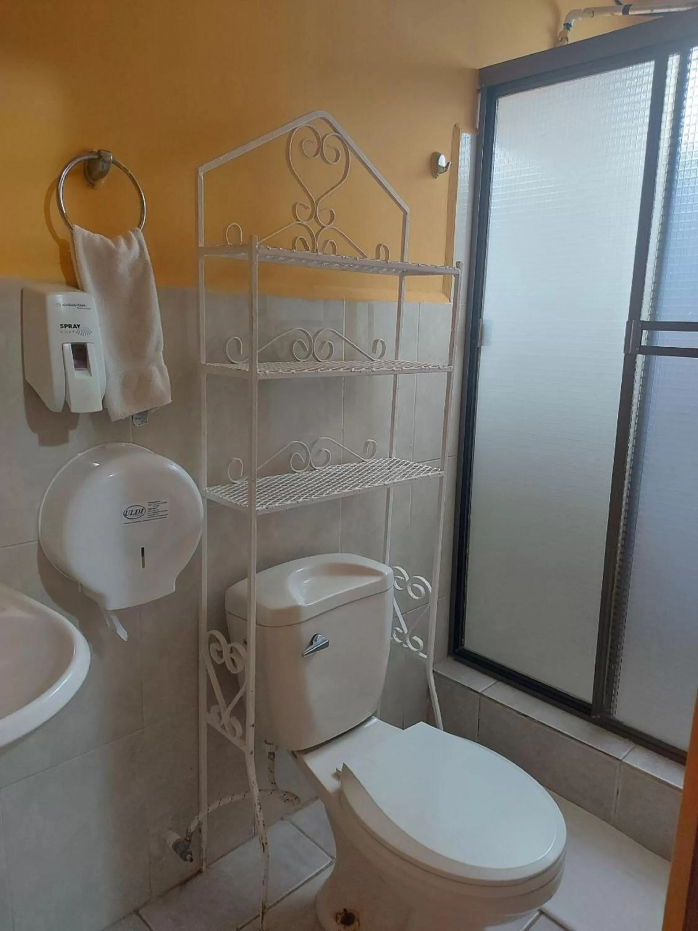 Shower in Hotel Vista Mar