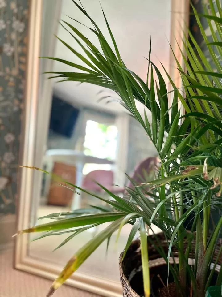 Buttonwood Boutique Hotel